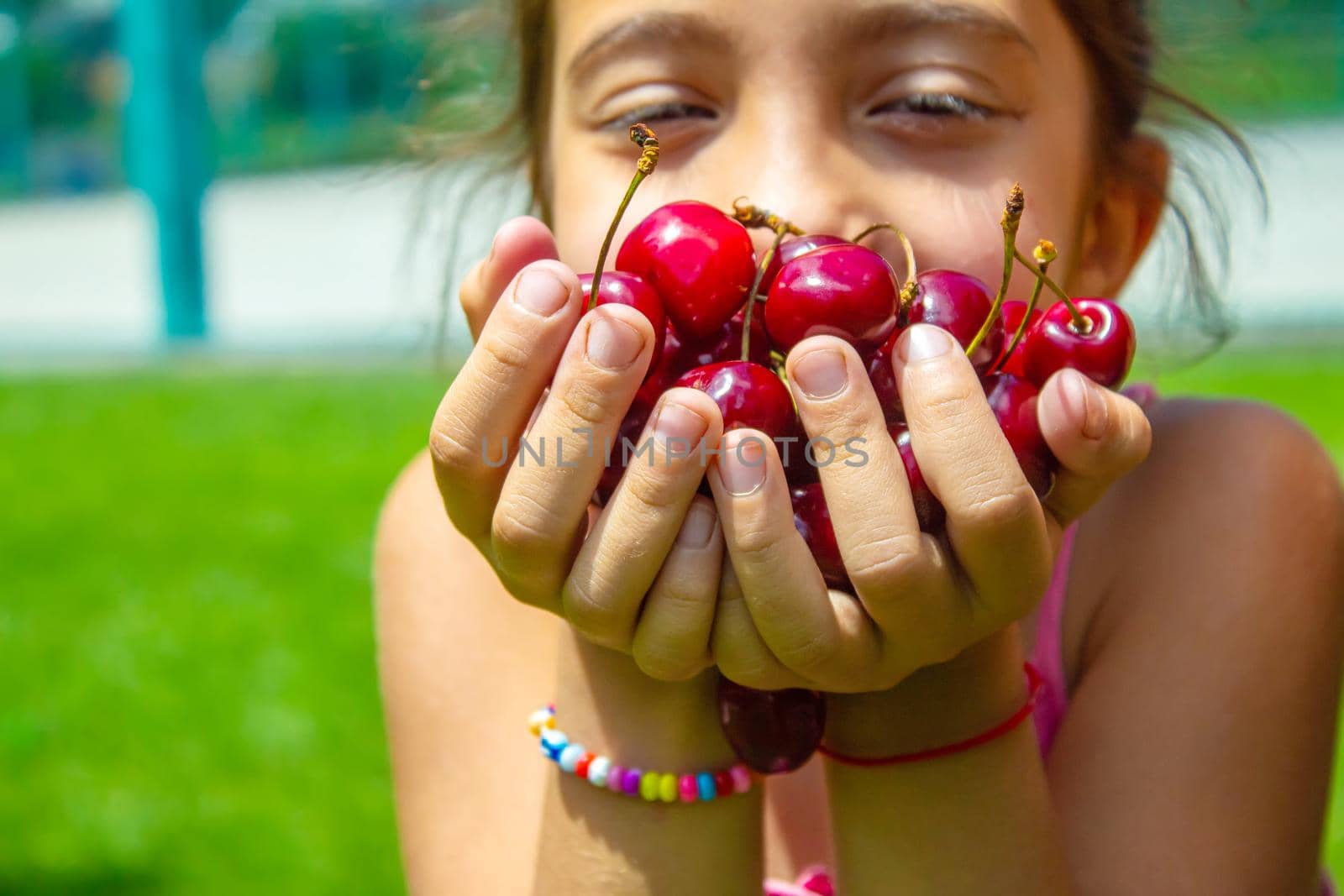 A child harvests cherries in the garden. Selective focus. Food.