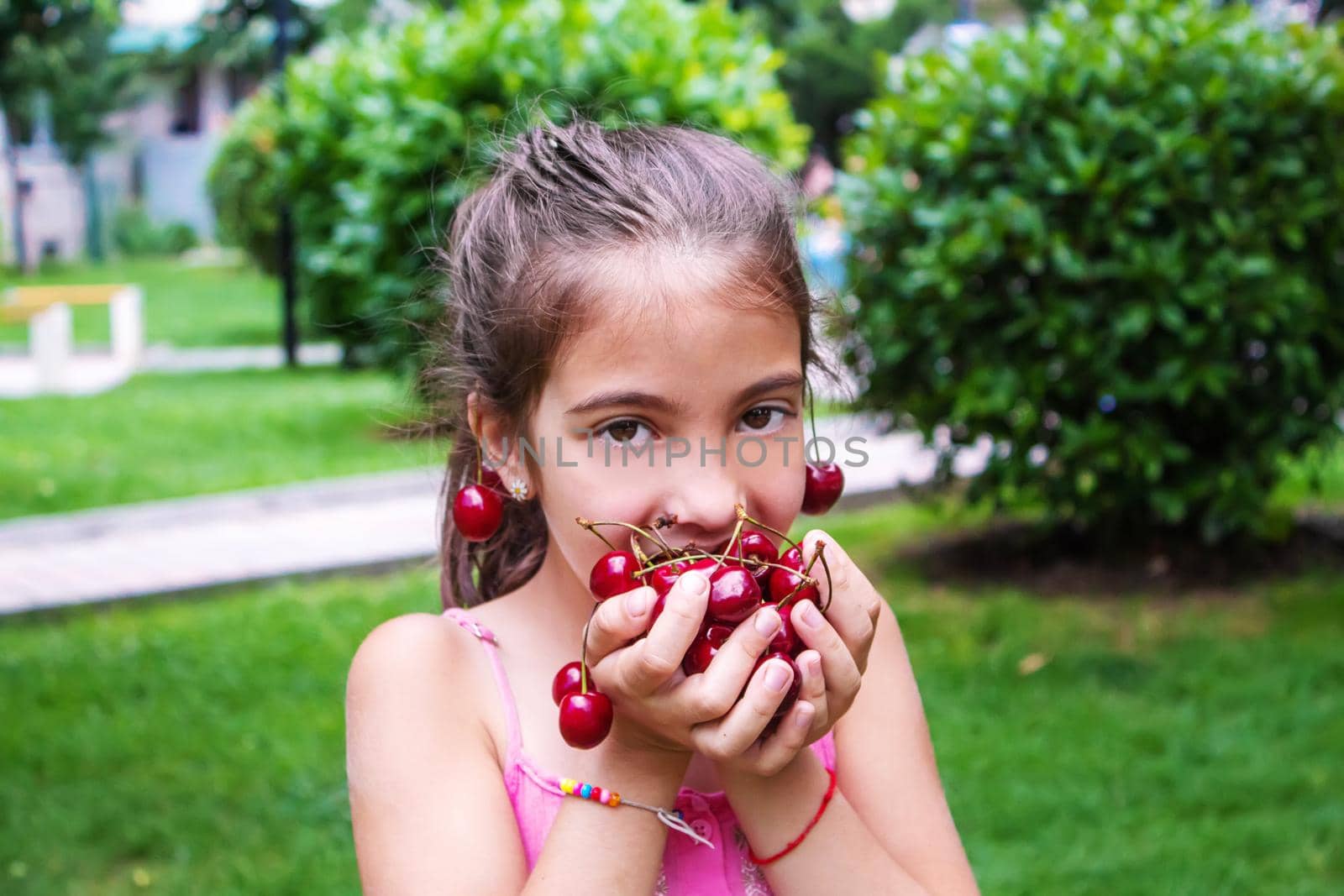 A child harvests cherries in the garden. Selective focus. Food.