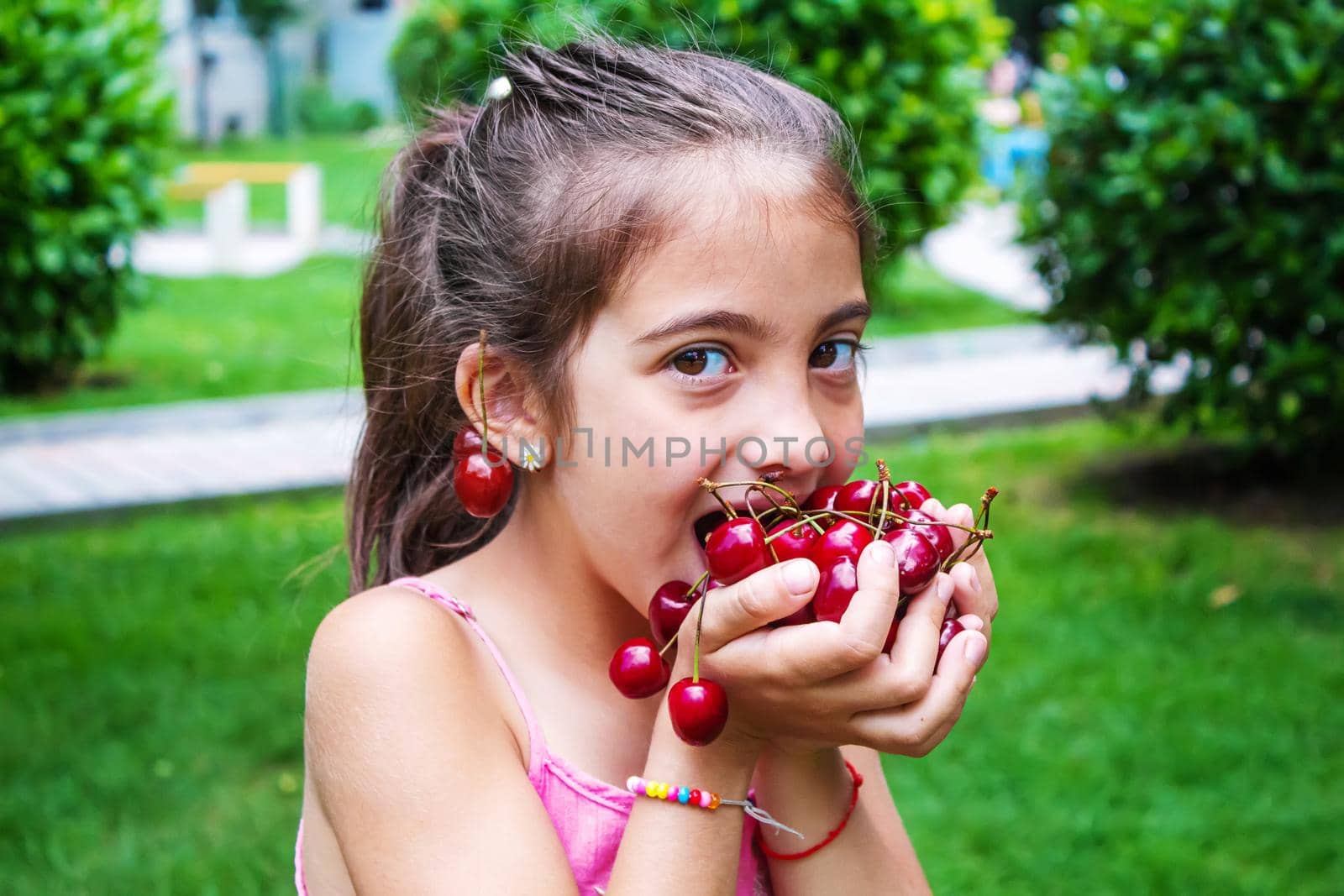 A child harvests cherries in the garden. Selective focus. Food.