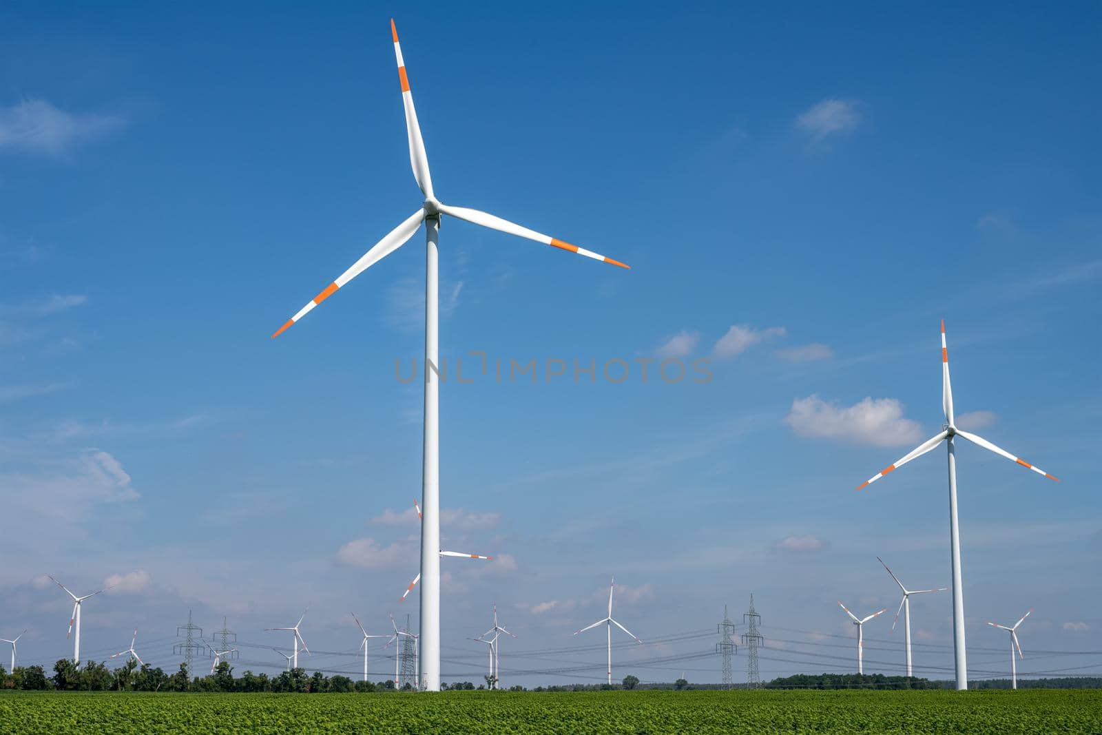 Wind turbines with power lines by elxeneize