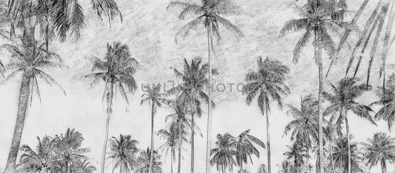 Coconut palm trees under blue sky. Vintage background