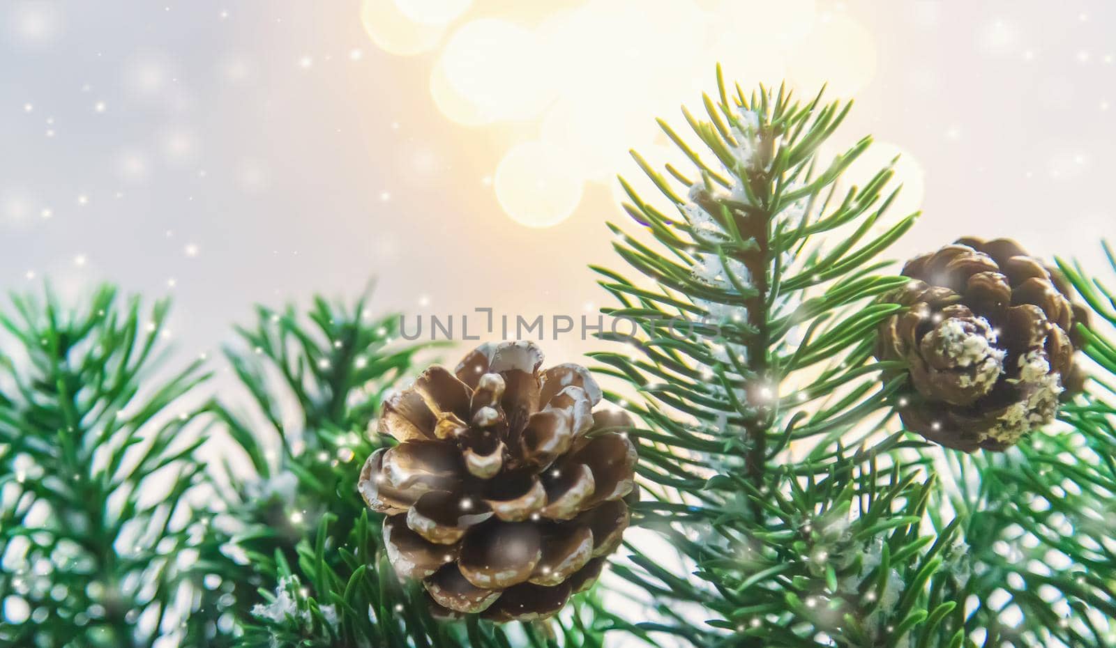 Christmas decor, pine cones in the snow. Selective focus. Holiday.