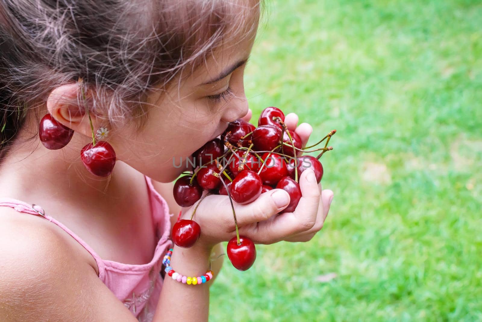 A child harvests cherries in the garden. Selective focus. Food.