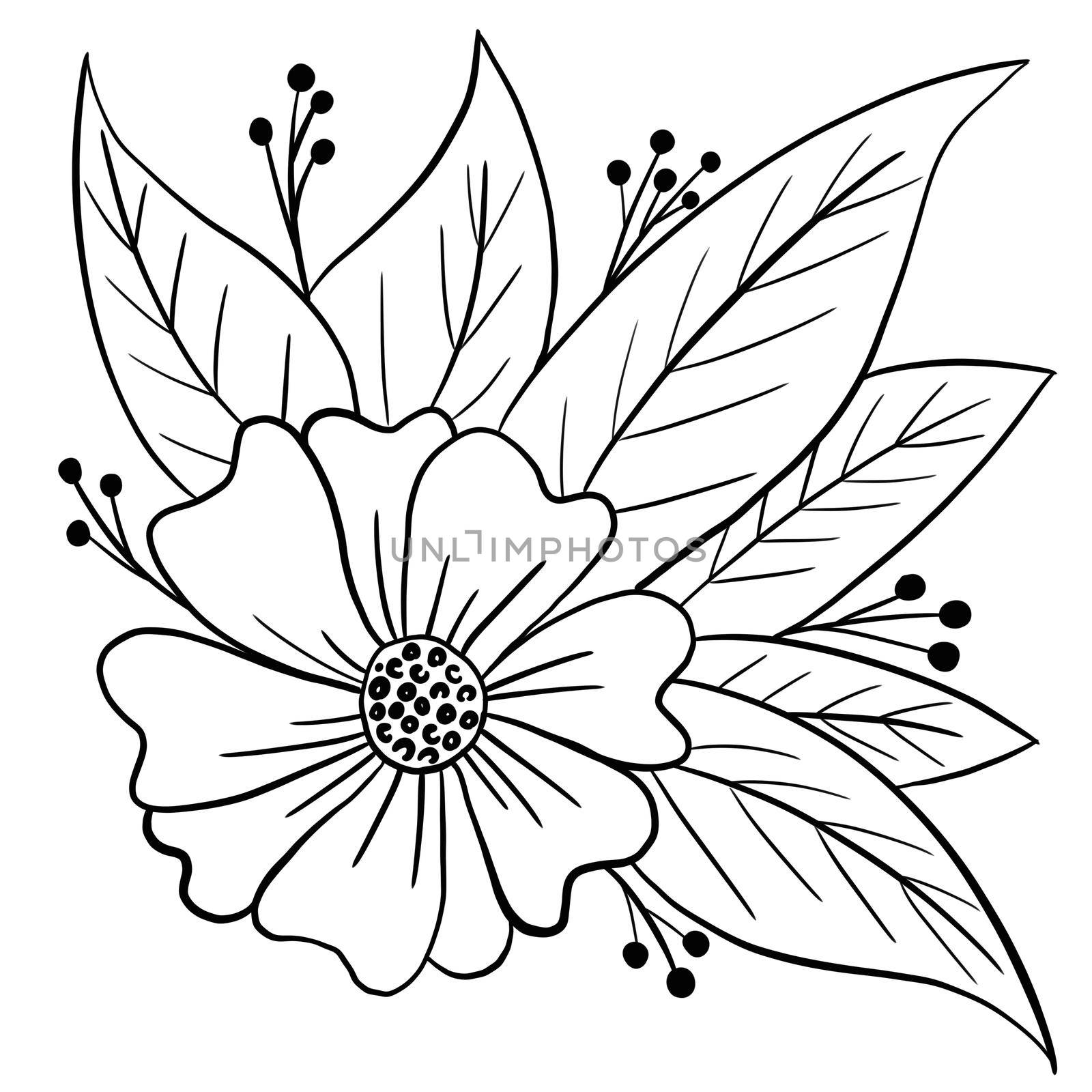 Hand drawn floral flower leaves illustration, black white elegant wedding ornament, Line art minimalism tatoo style design summer spring nature branch foliage blossom. by Lagmar