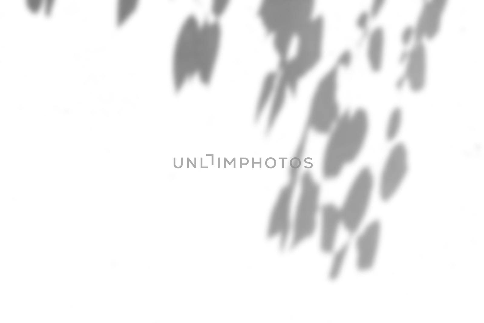 Shadow of leaf overlay on white texture background. Use for decorative product presentation.