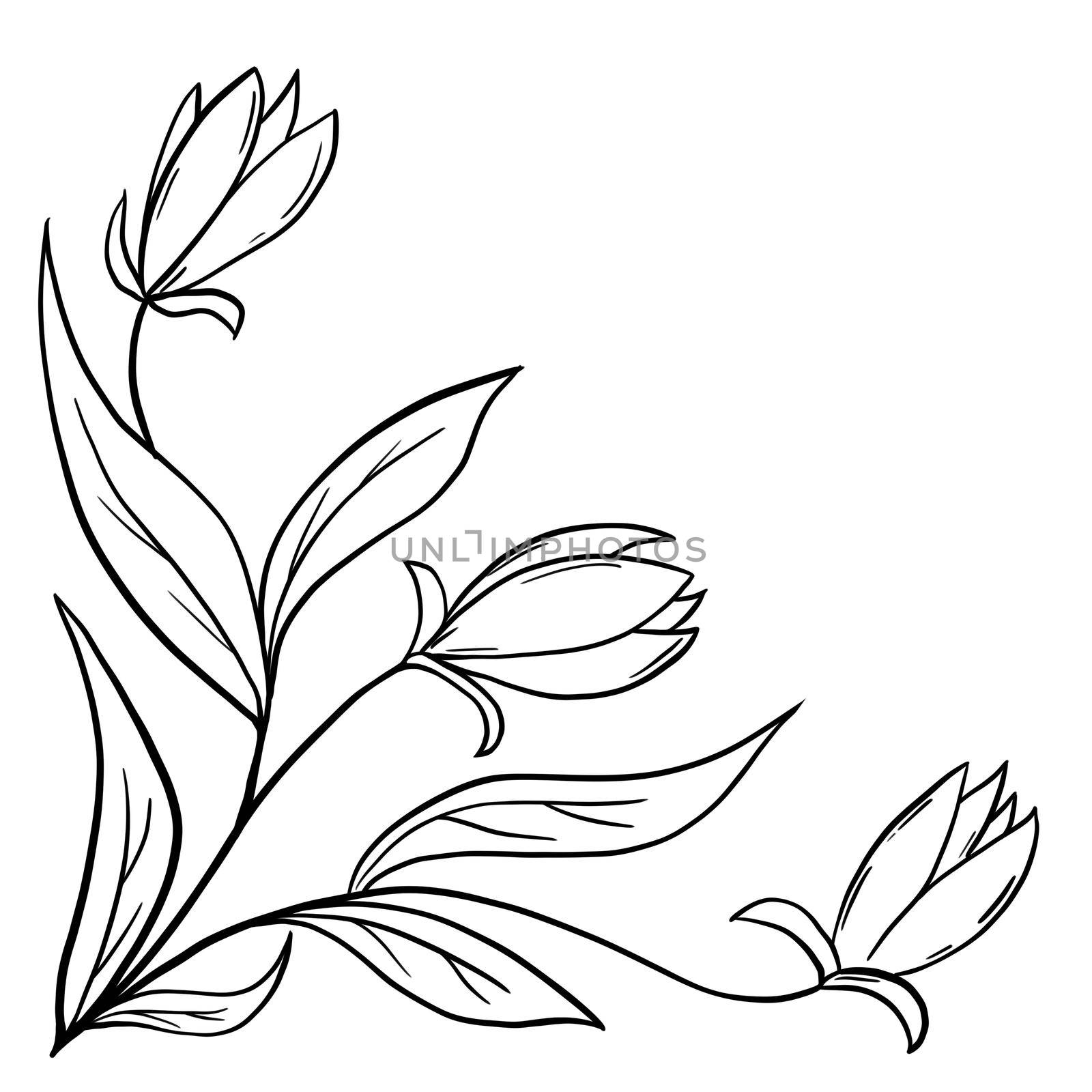 Hand drawn floral flower leaves illustration, black white elegant wedding ornament, Line art minimalism tatoo style design summer spring nature branch foliage blossom. by Lagmar