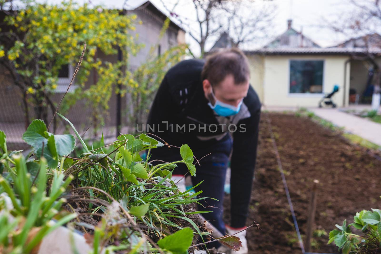 man working in garden. young man planting flowers in mask. business in quarantine