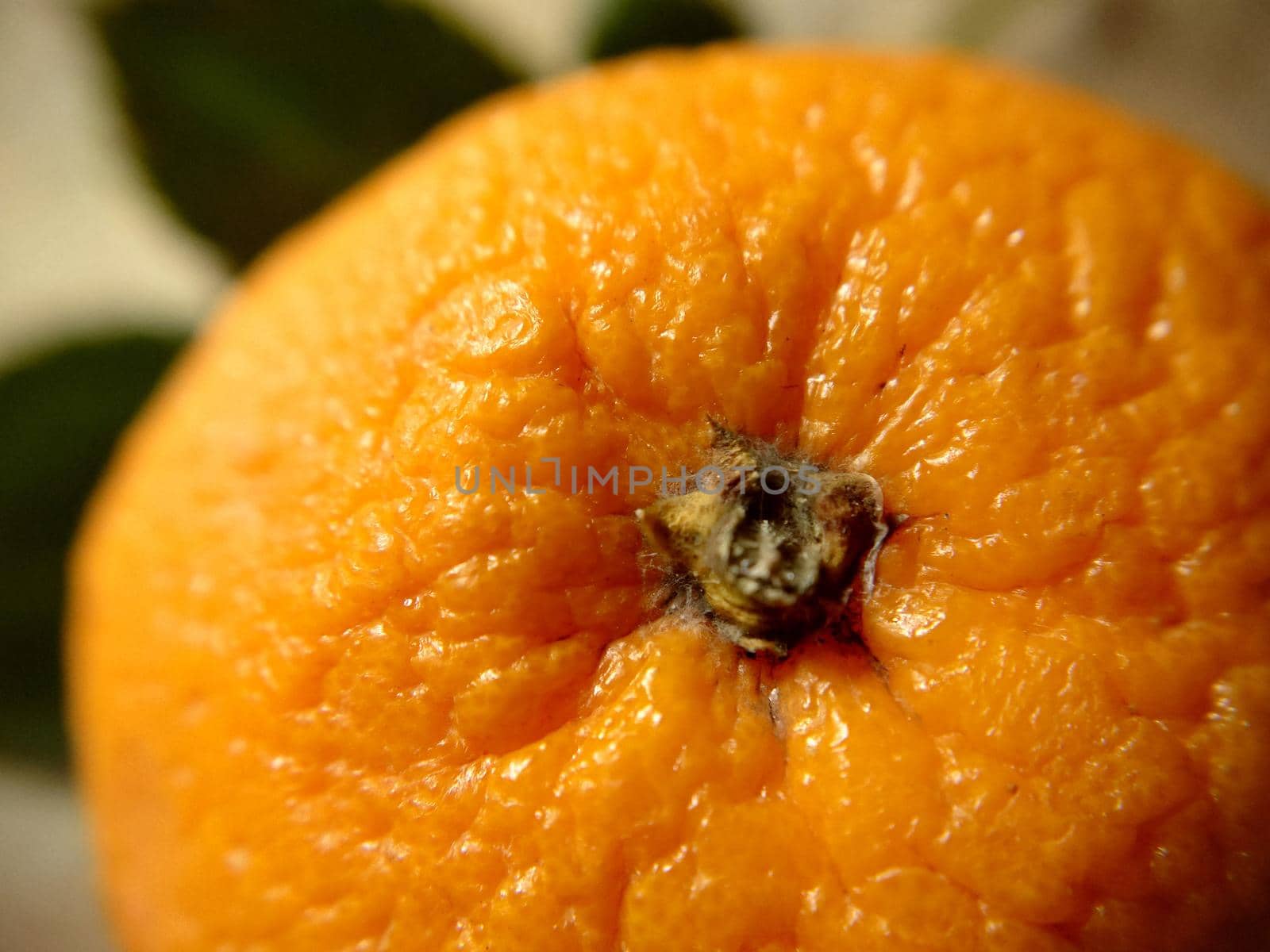 Macrophotography. Ripe orange close-up.Texture or background