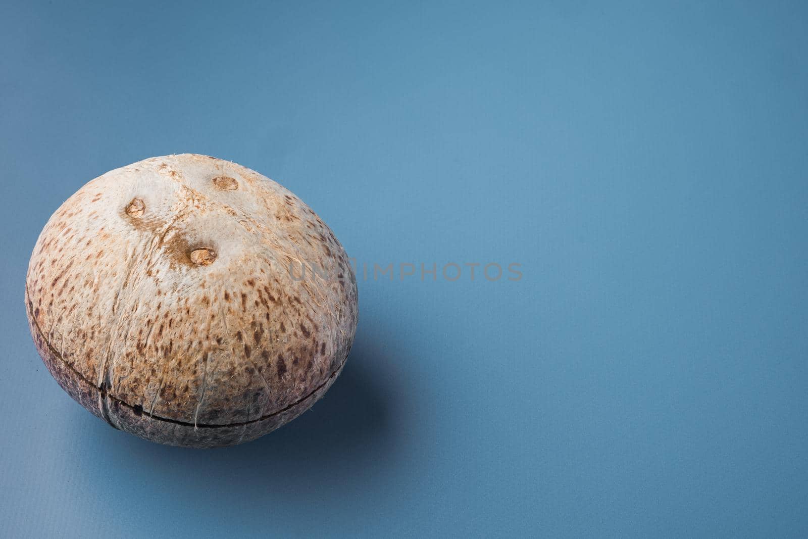 Coconut whole set, on blue textured summer background, with copy space for text