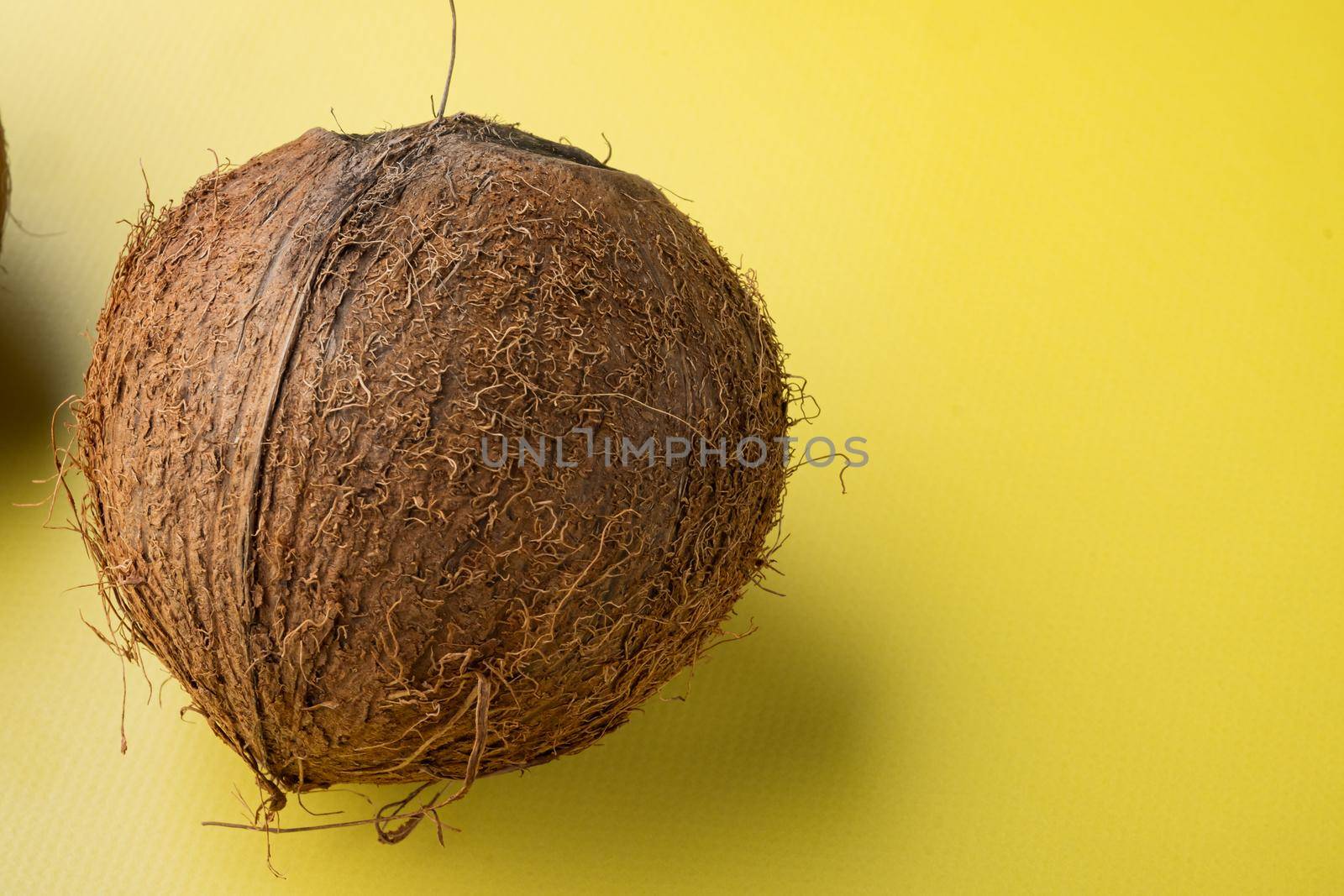 Freshly harvested coconut set, on yellow textured summer background