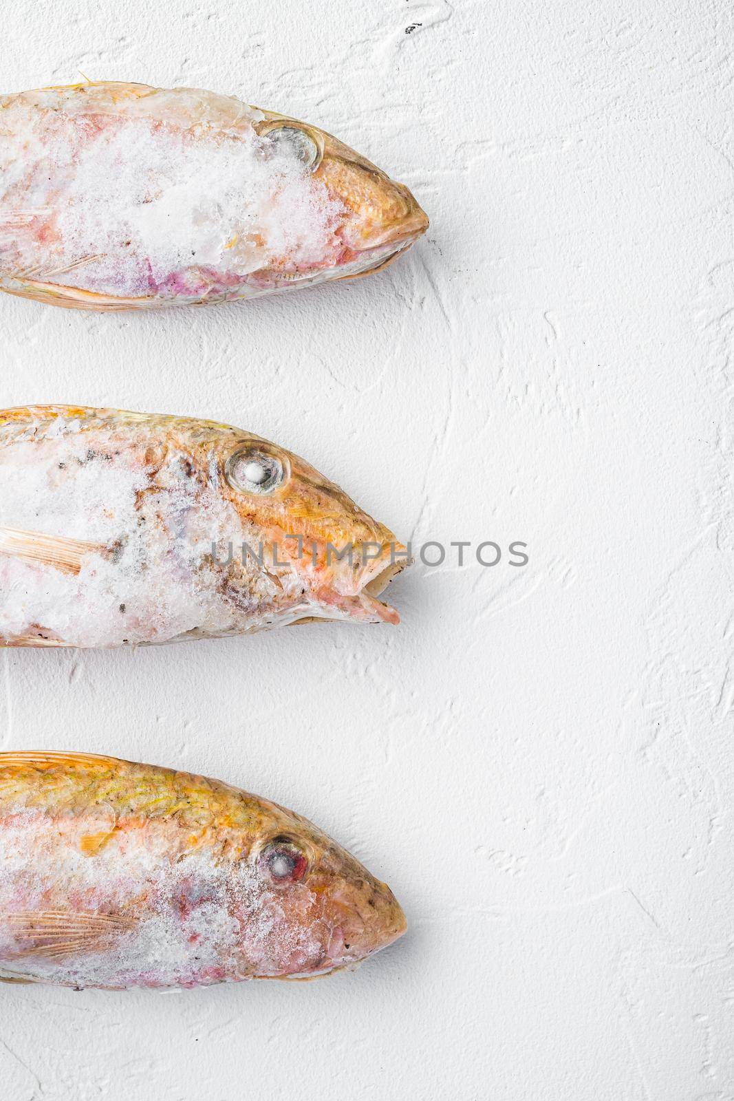 Frozen Goatfish raw fish set, on white stone table background, top view flat lay , with copy space for text