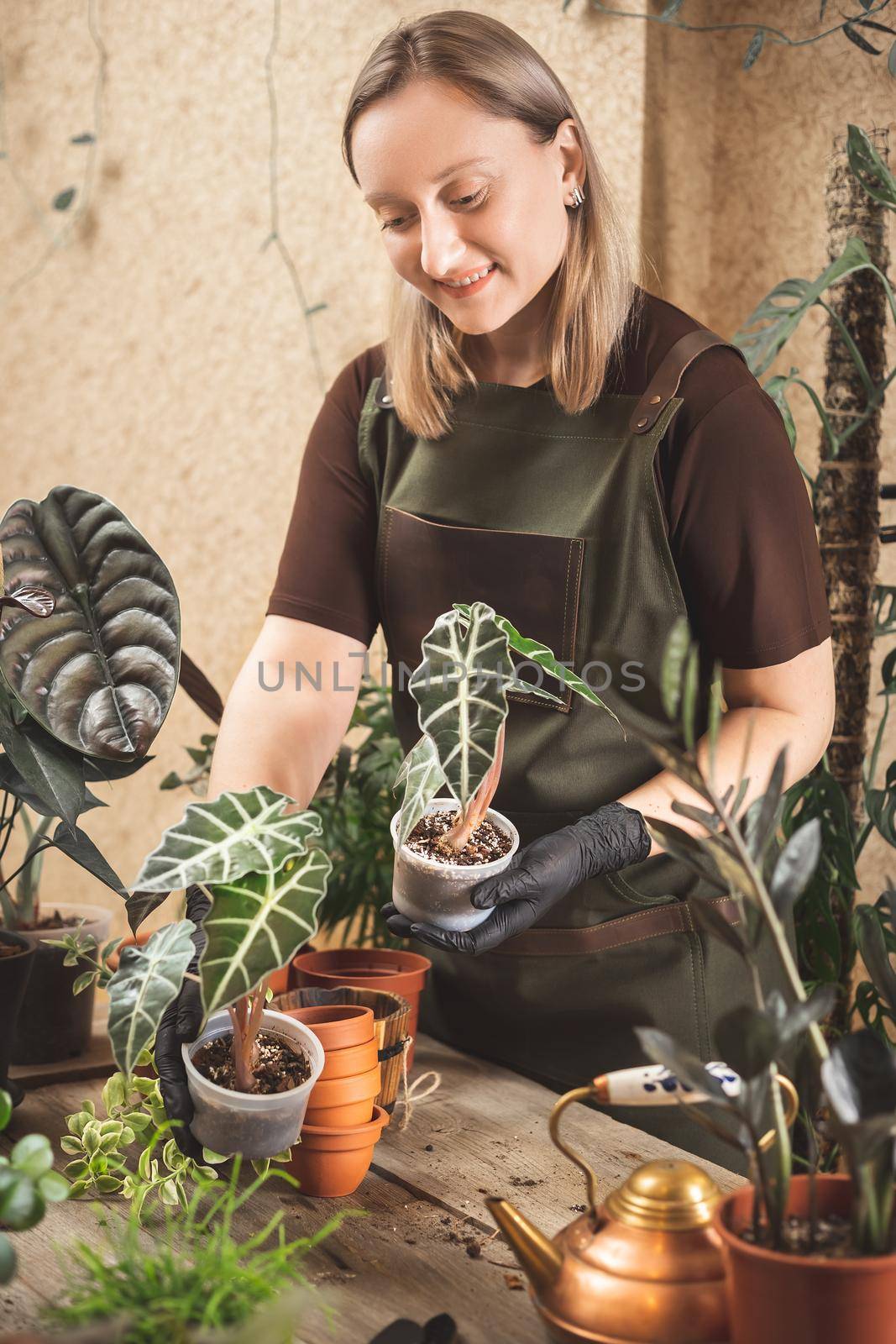 Female gardener wearing black rubber protective gloves and apron taking care of home garden or plant workshop