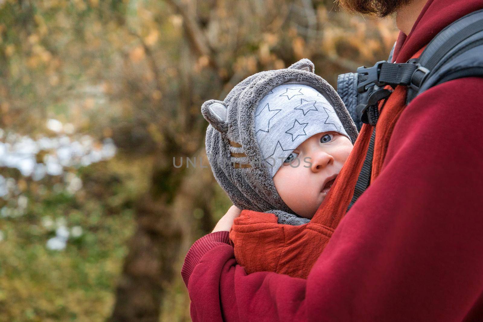 Young traveler baby boy in ergonomic baby sling in autumn nature.