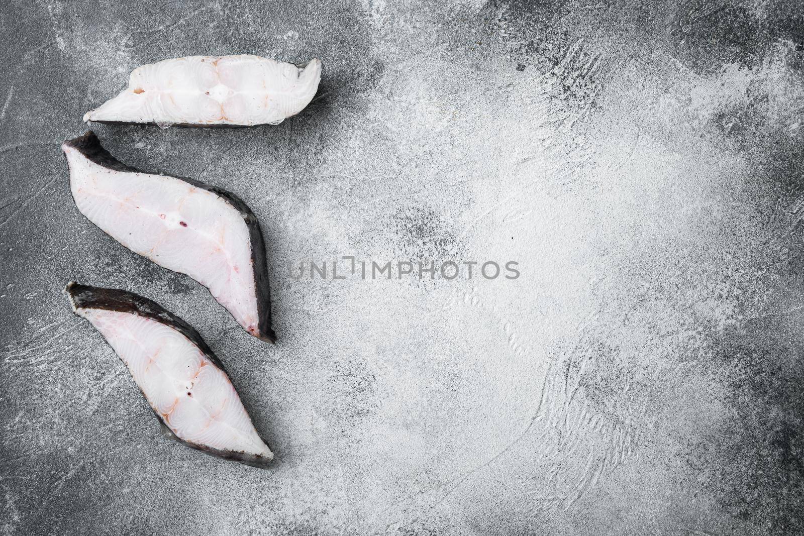 Frozen raw fish steak set, on gray stone table background, top view flat lay, with copy space for text