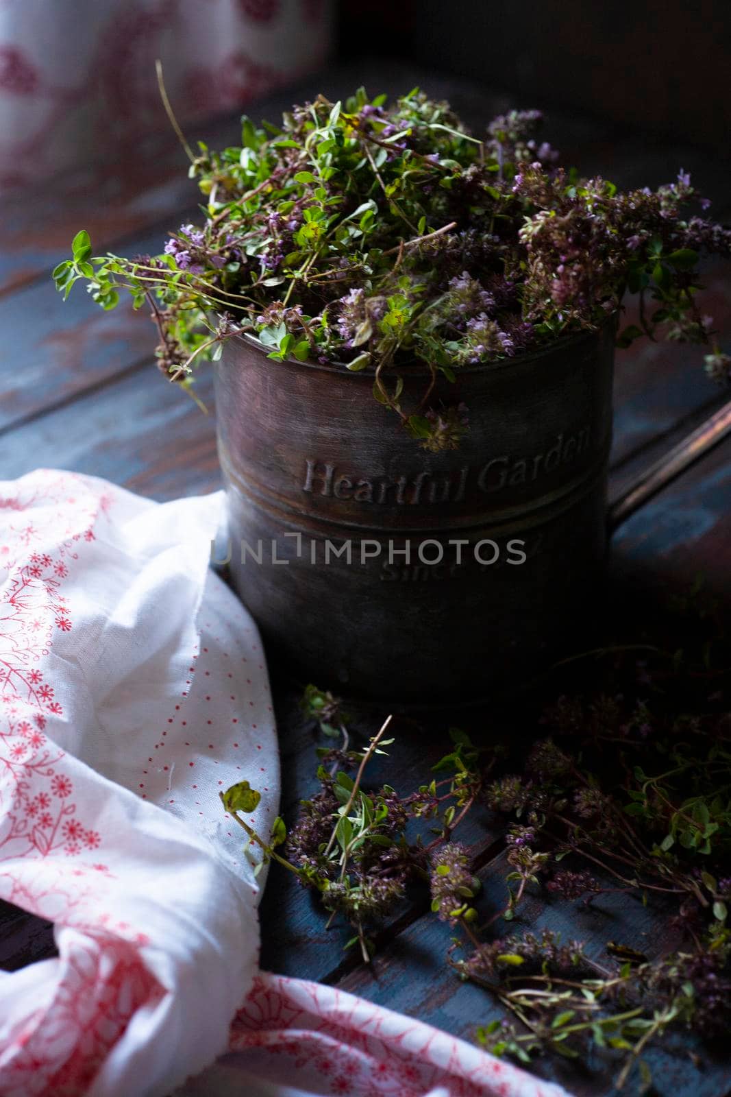 Vintage metal mug with fresh plants of wild thyme havested for drying on blue wooden table, selective focus.