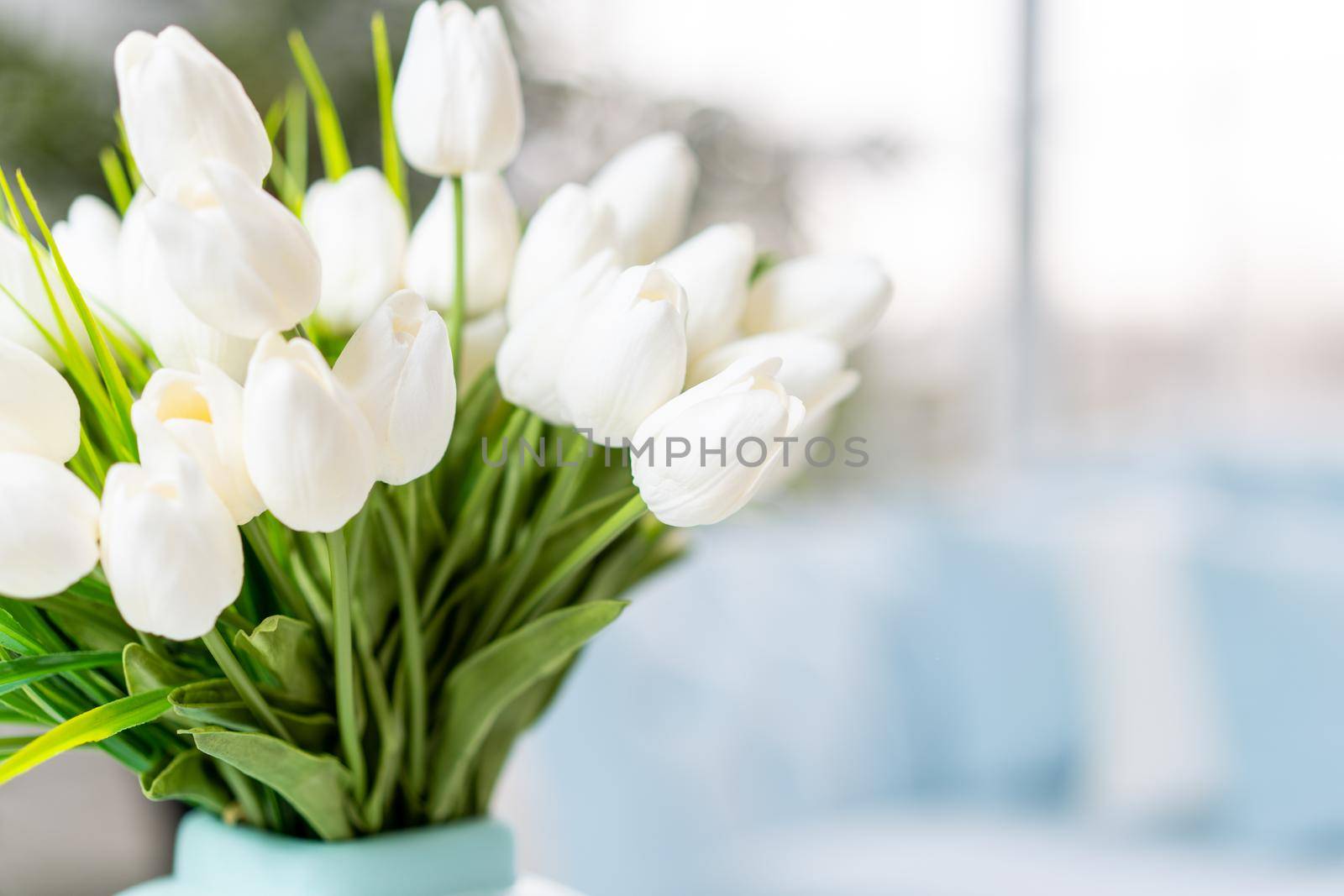 White tulip flowers in vase standing coffee table with blurred interior background. by andreonegin