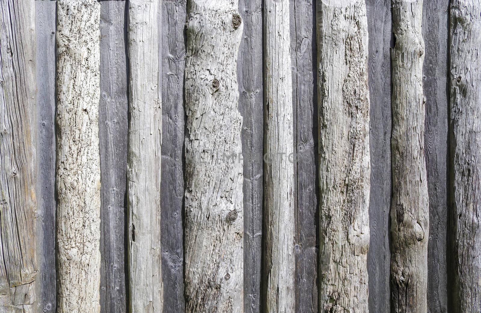 Vintage background texture of very old wooden planks - wood concept