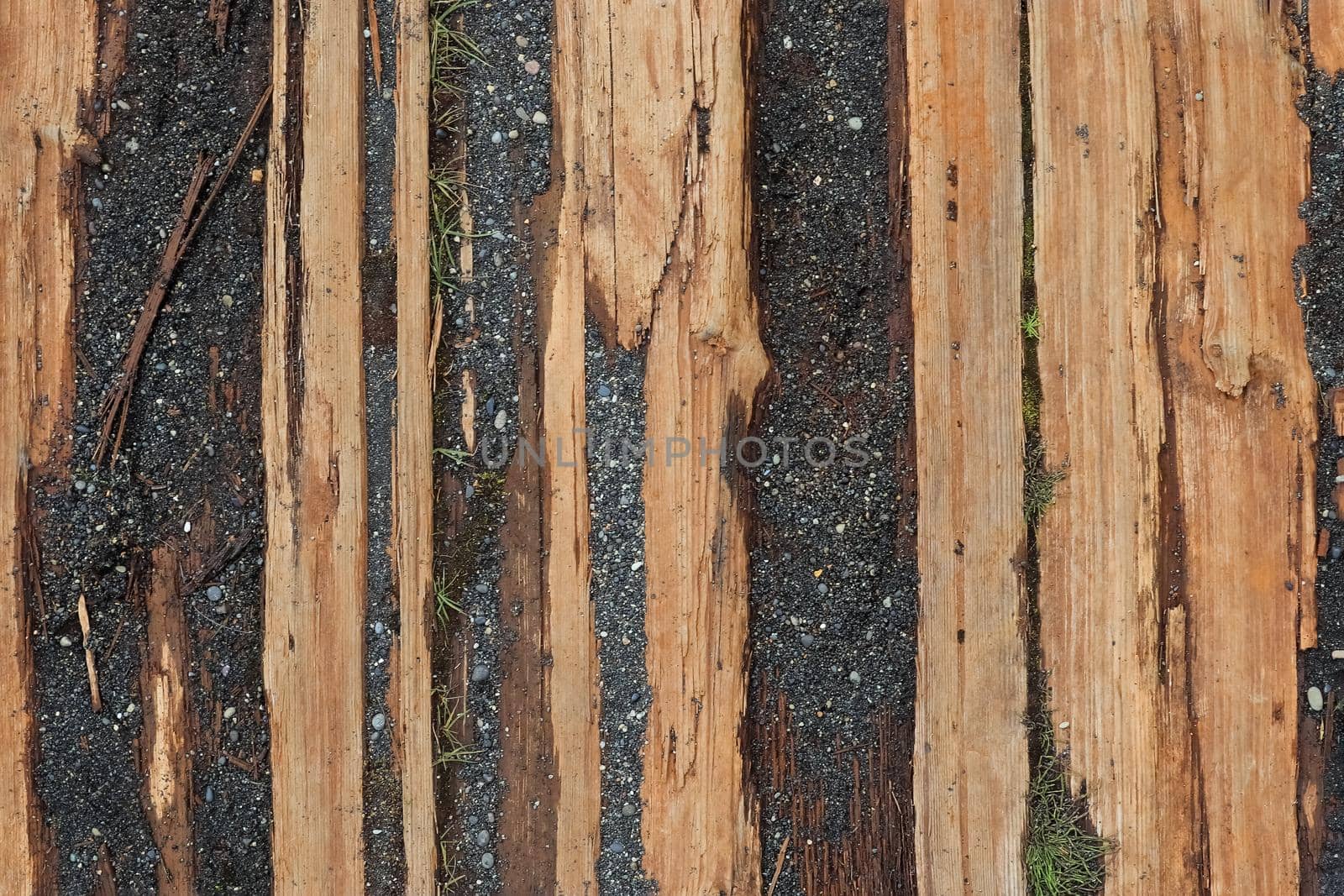 Vintage background texture of very old wooden planks - wood concept