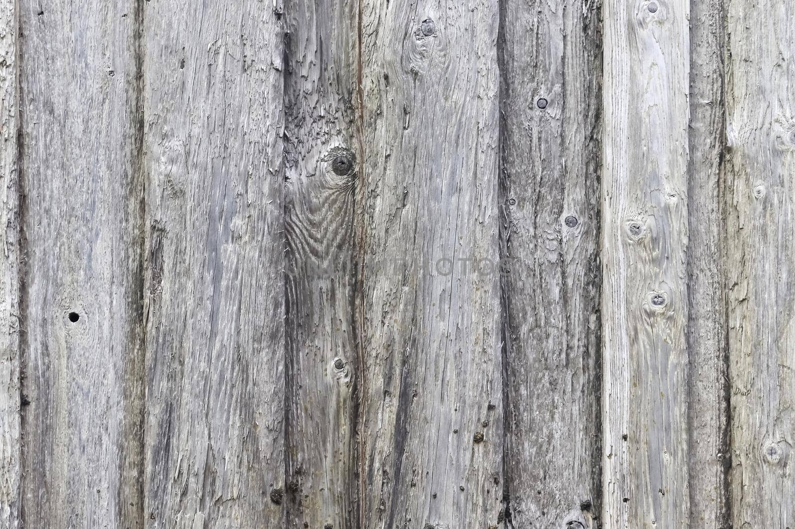 Vintage background texture of very old wooden planks - wood concept. by MP_foto71