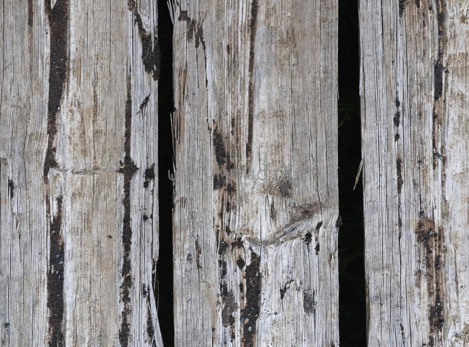 Vintage background texture of very old wooden planks - wood concept. by MP_foto71