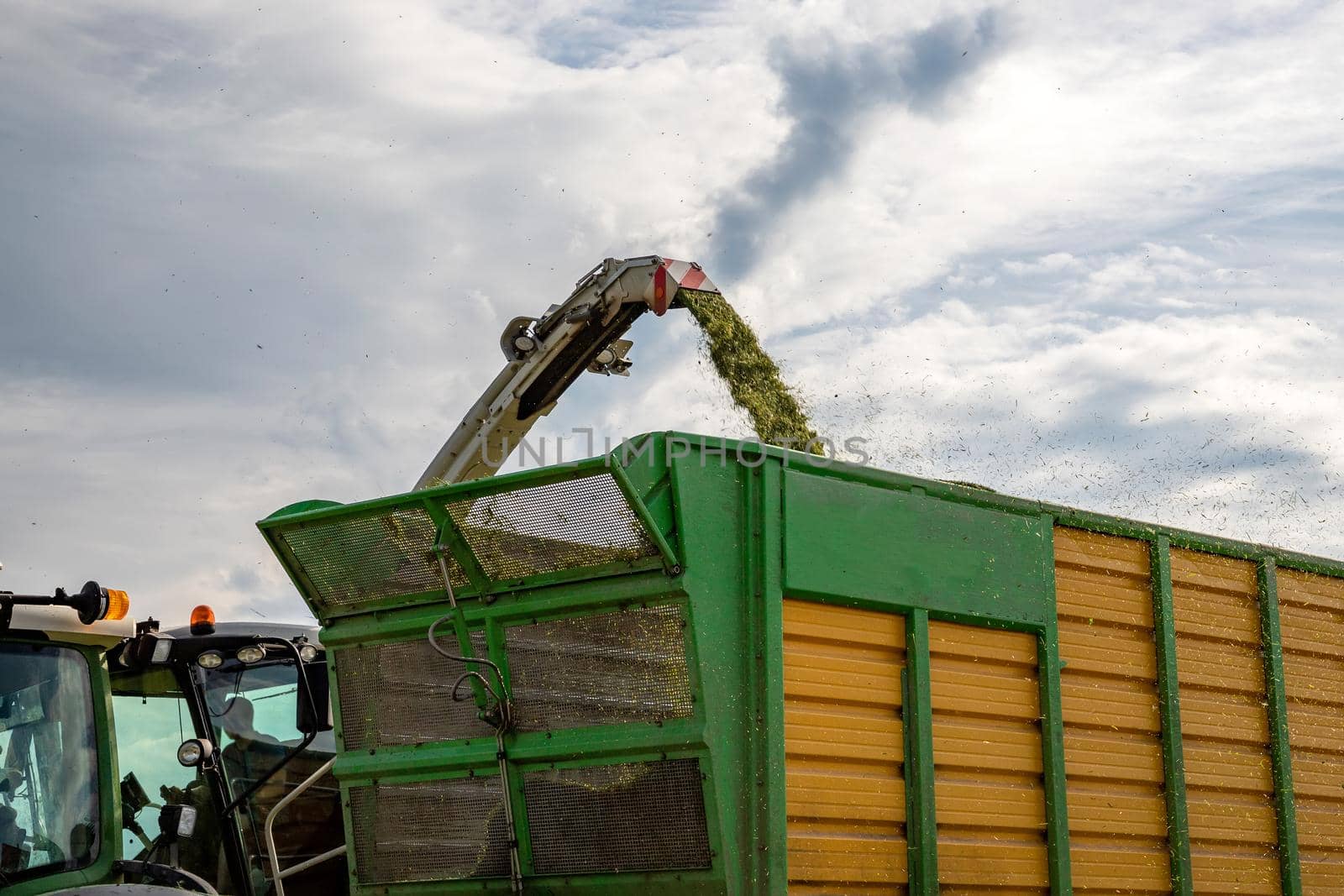 Leutkirch, Germany - June 06, 2022: The combine pours silage into the tractor-trailer in the field. Preparing animal feed for the winter.