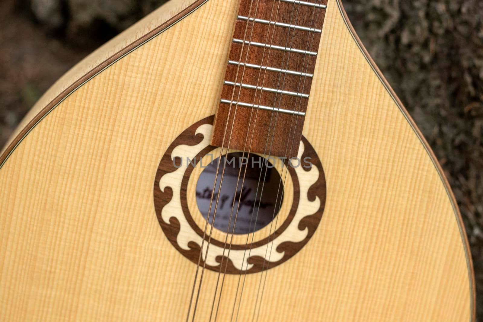 The national Greek string-plucked musical instrument Bouzouki was leaned against a tree. The concept of music and nature.