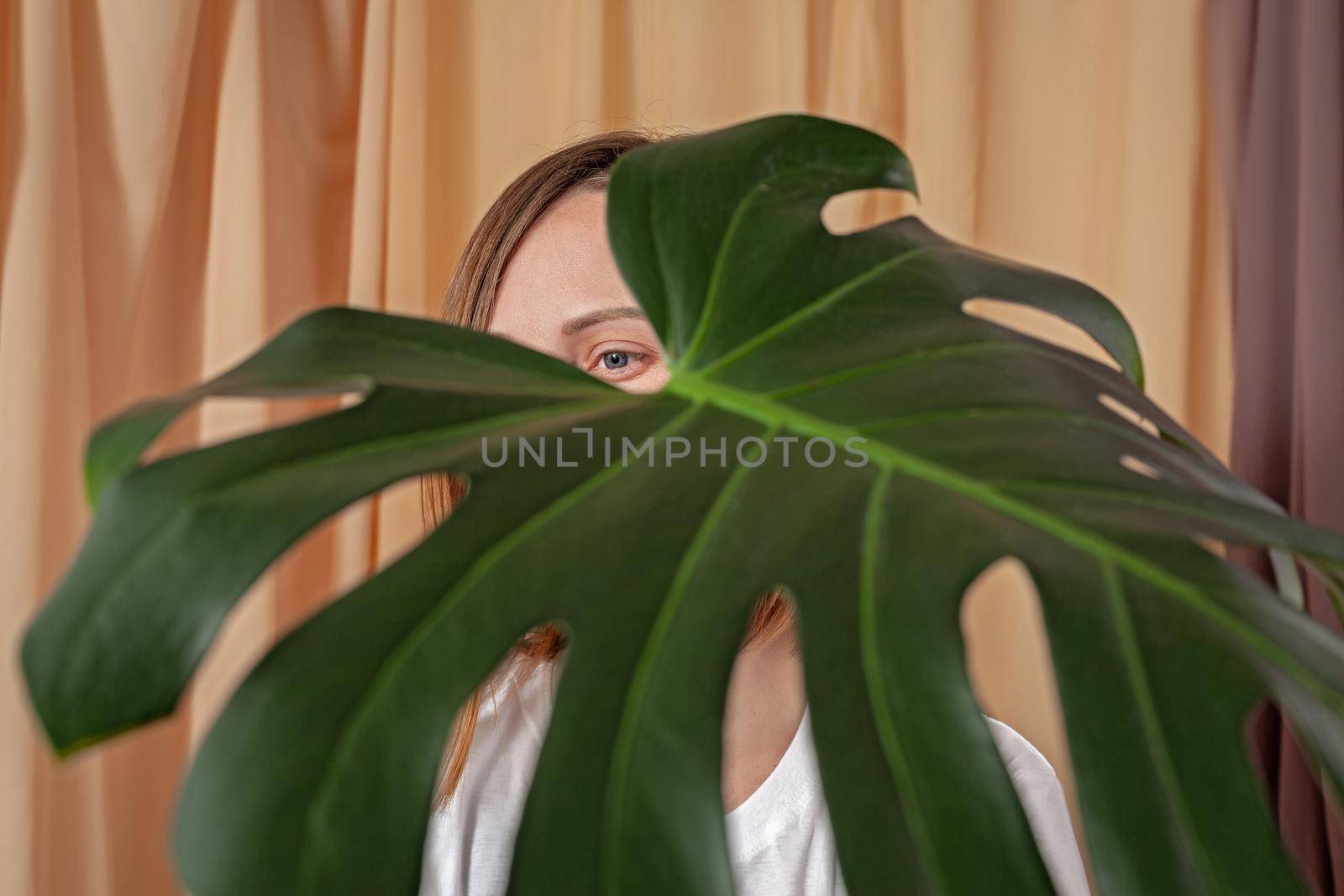Woman looks through the leaves of the Monstera Deliciosa tropical plant on a fabric curtains background.