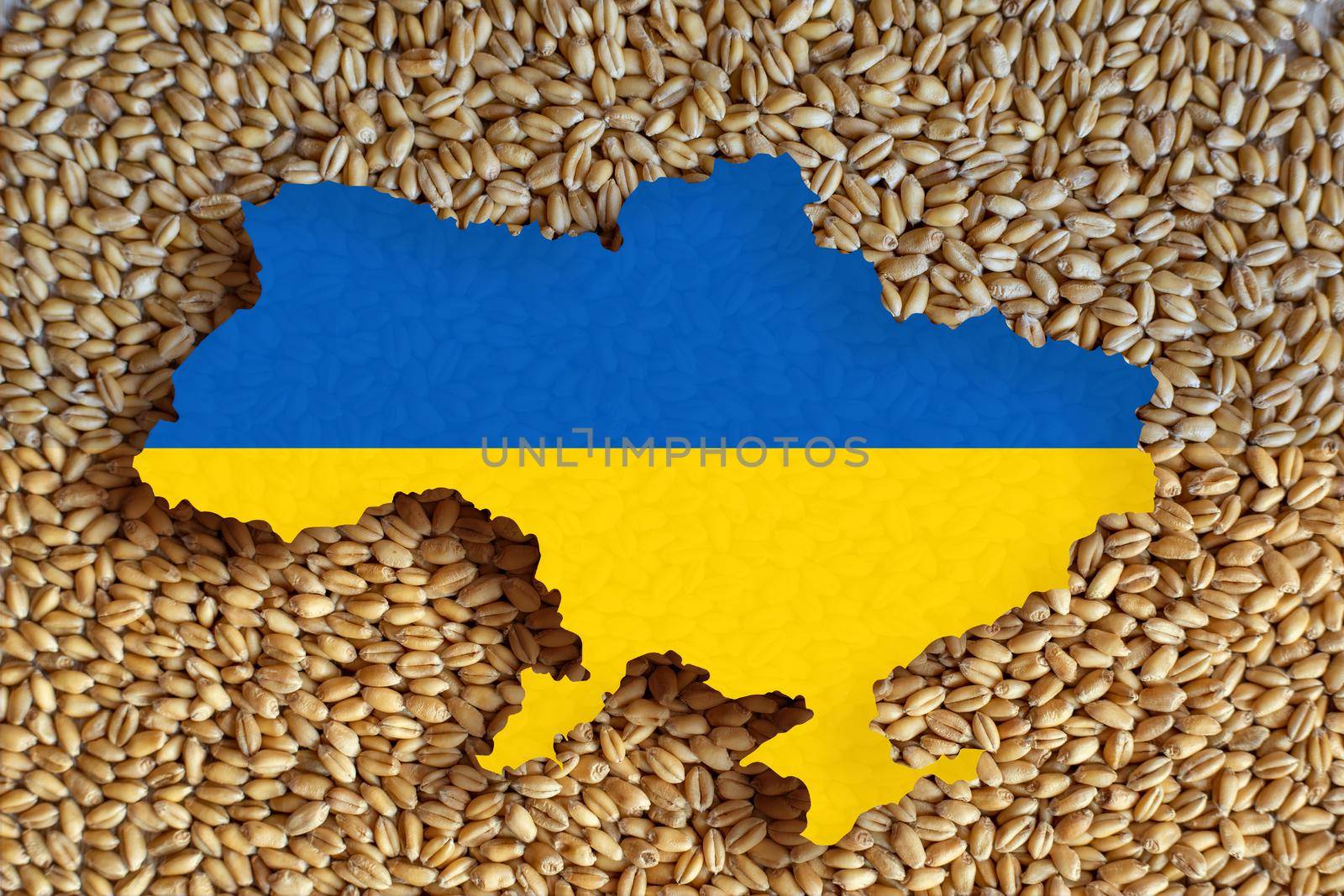 Ukraine map lies on wheat that is impossible to export. World grain crisis concept by adamr