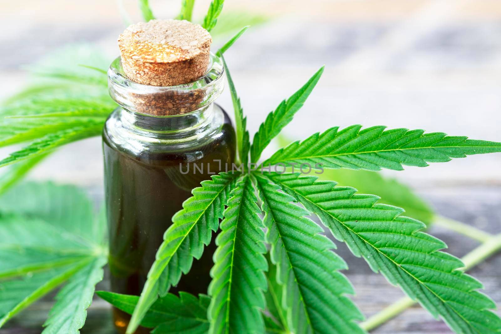 Cannabis oil surrounded by cannabis leaves.