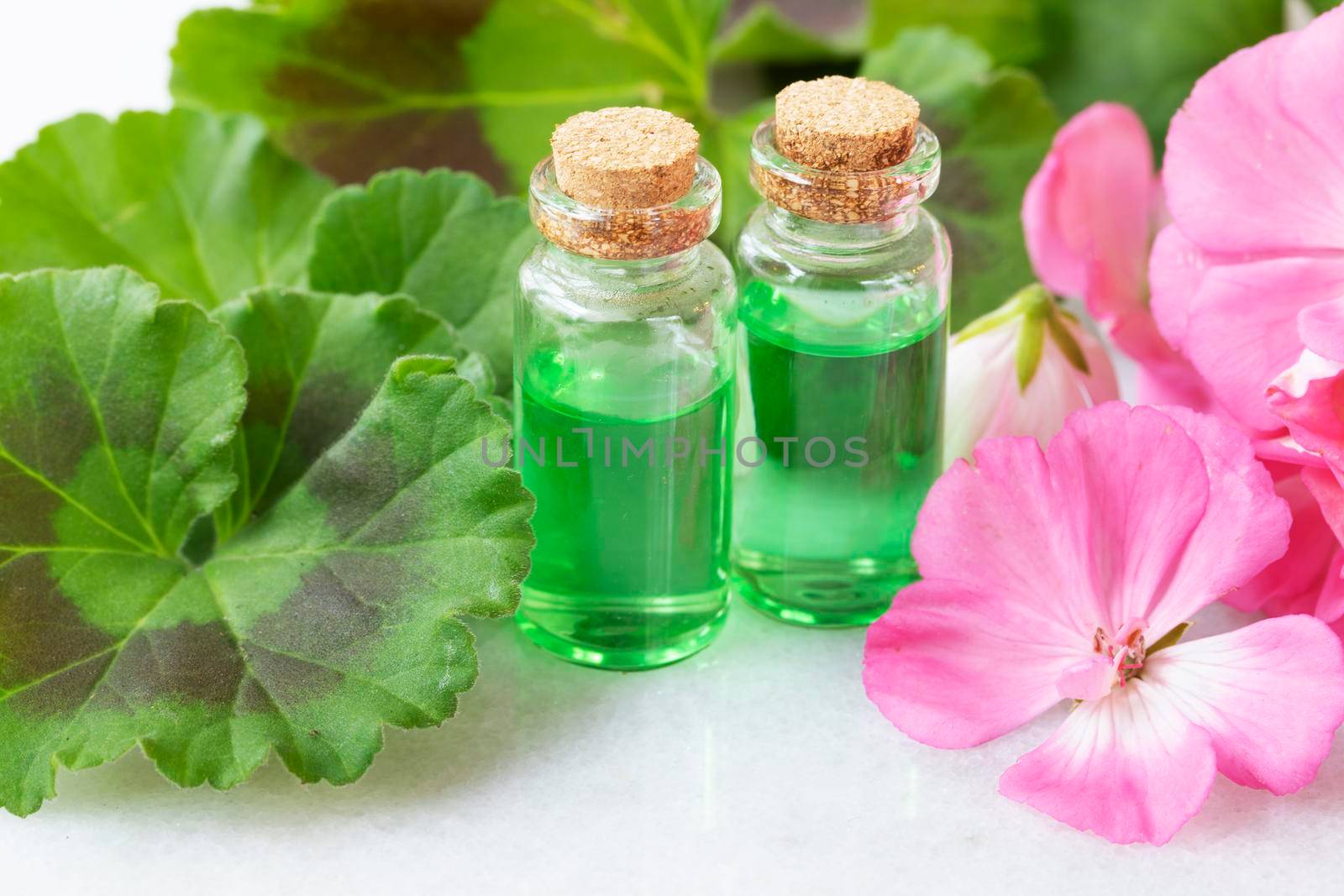 Plant extract in viles with geranium leaves and pink flowers