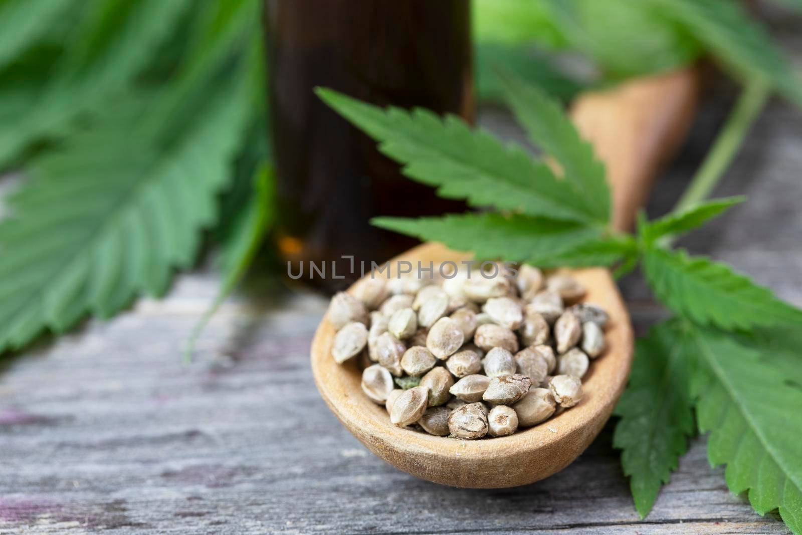 Close up of cannabis seeds with leaves and bottle of oil in the background.