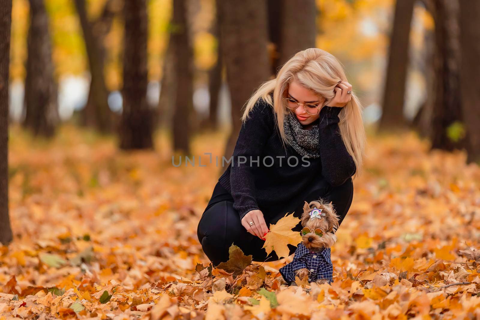 girl with her yorkshire terrier dog in the park