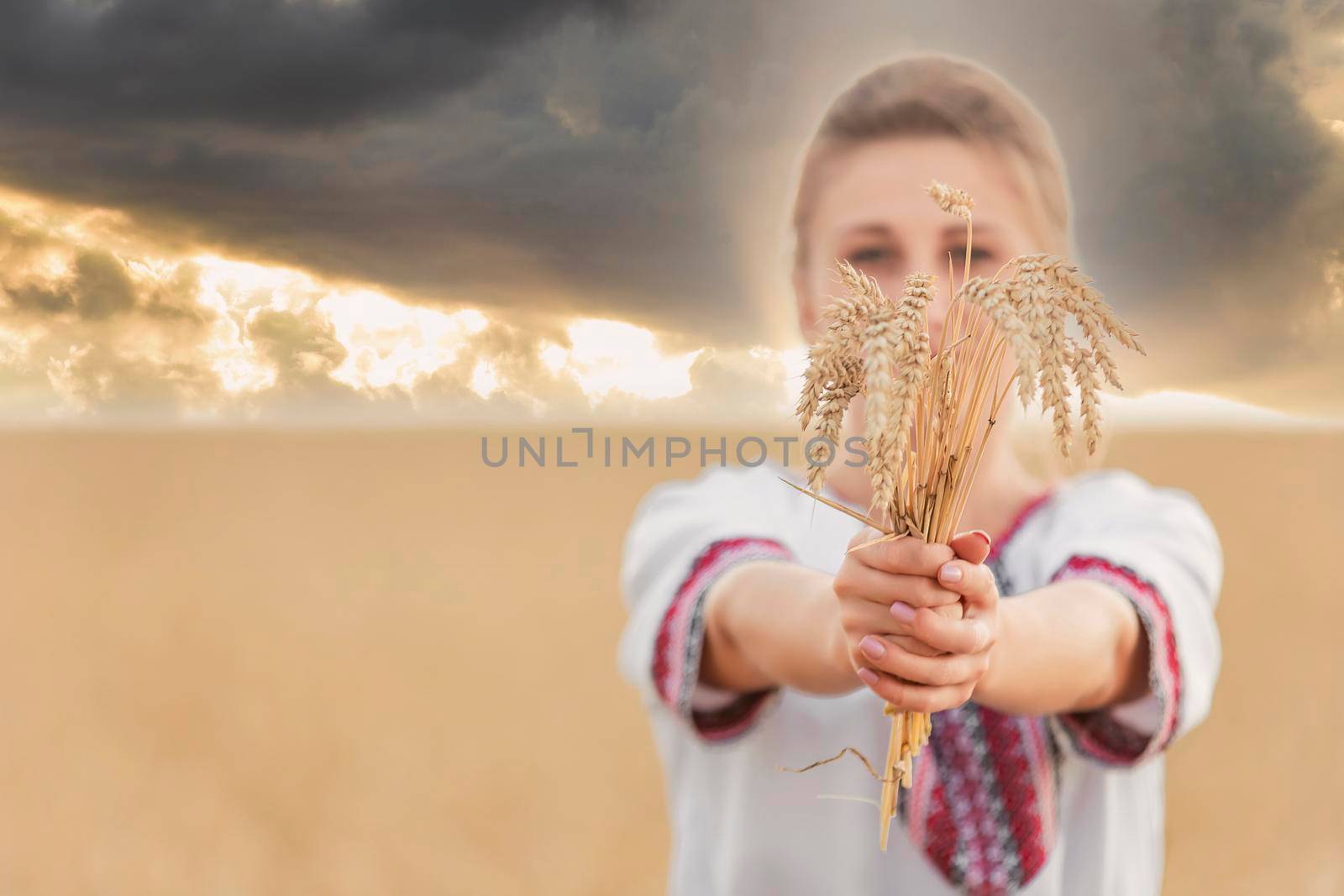 girl with wheat in her hands against the backdrop of the sunset sky by zokov