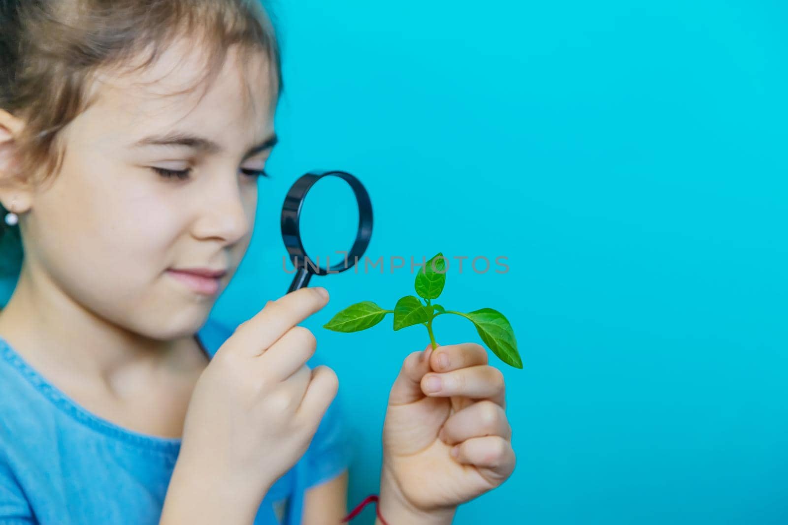 The child examines the plant with a magnifying glass. Selective focus. Kid.