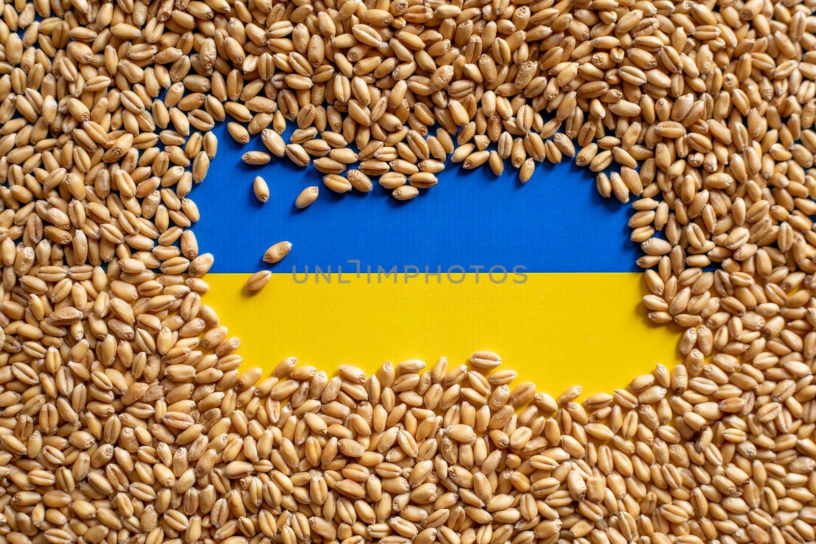 Wheat grain and Ukraine flag colors. Concept of grain floating problems stock photo