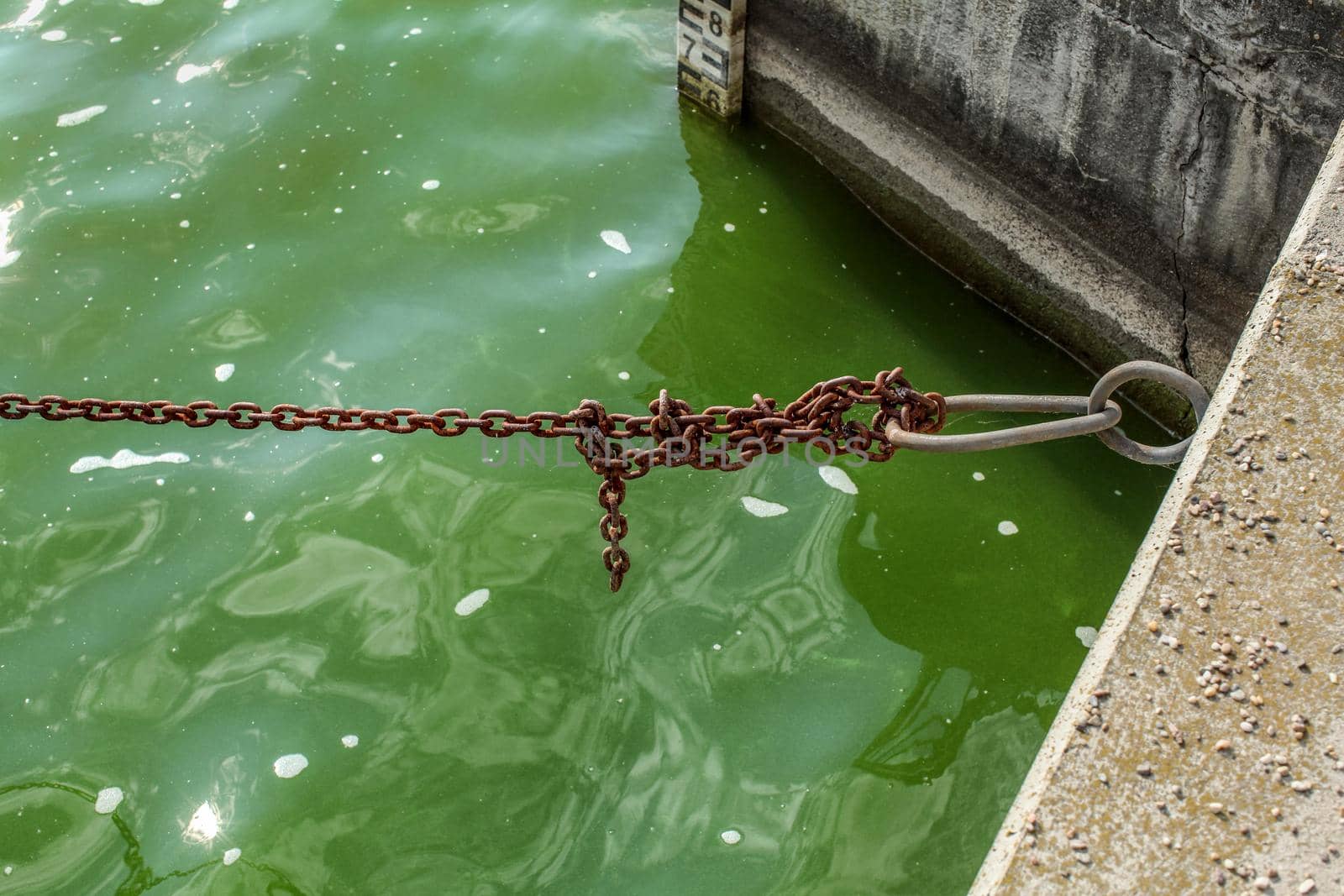 Old rusty boat chain, over green water at the dock, with sea level indicator in background.
