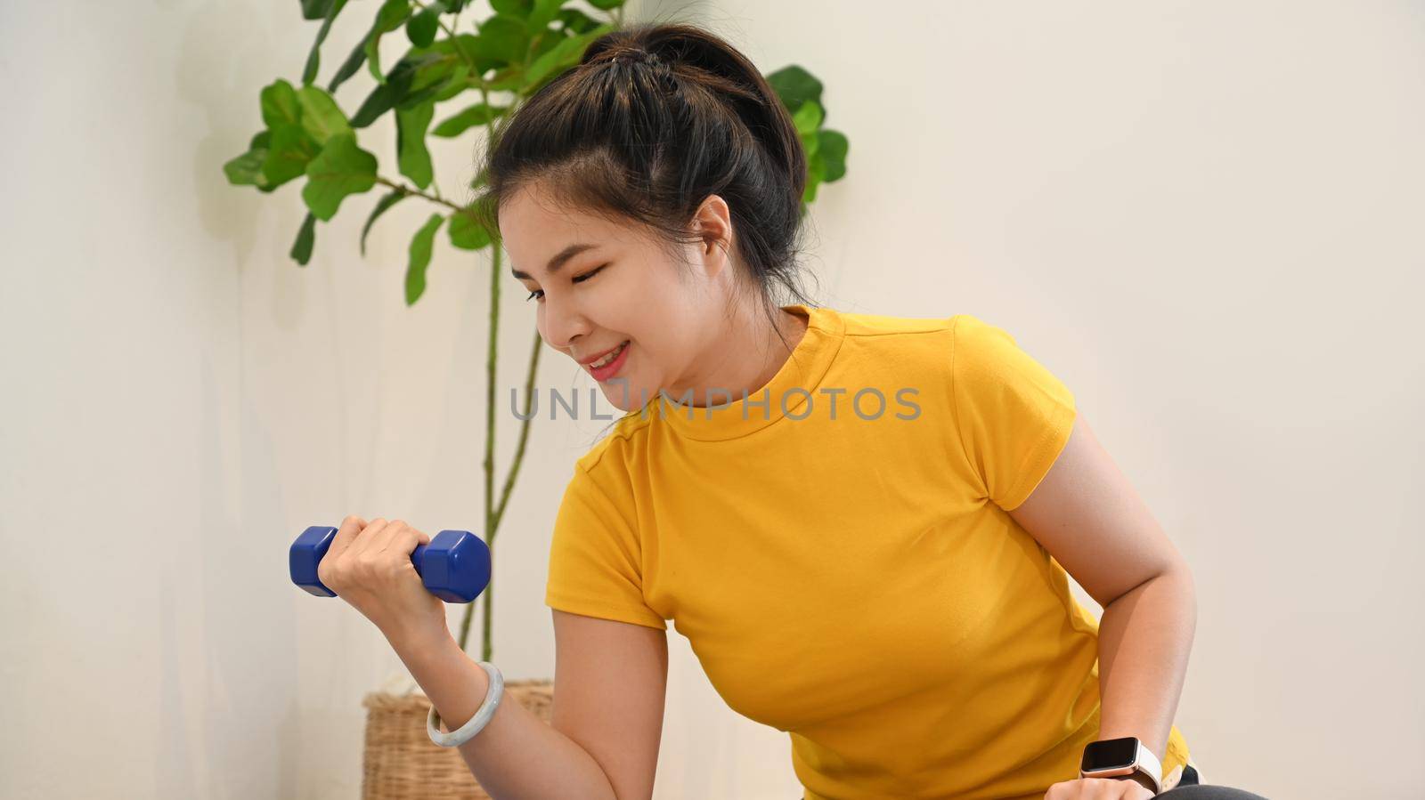 Active young woman working out with dumbbells at home. Fitness, sport and healthy lifestyle concept.