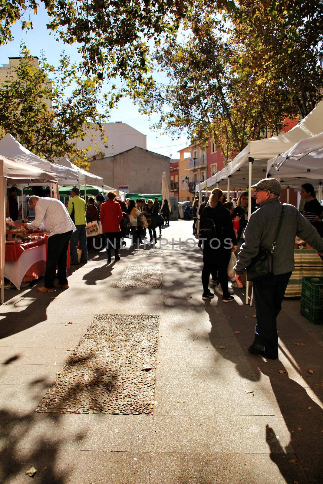 Elche, Alicante, Spain- December 1, 2018: People buying in the local ecological market in the main square of the Raval neighborhood in Elche