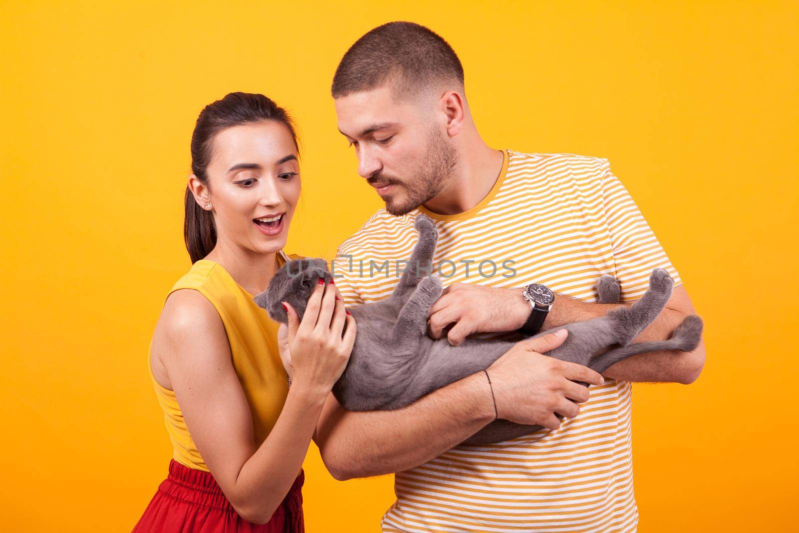 Happy young couple enjoying time with their cat. Handsome man holding adorable cat.