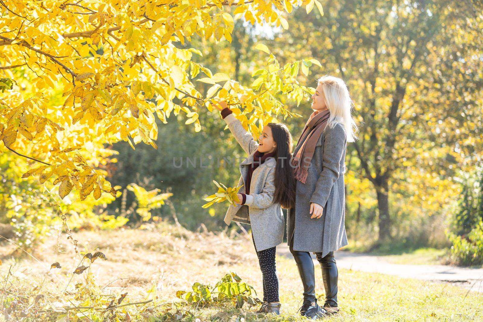 happy family: mother and child little daughter play on autumn walk in nature outdoors.