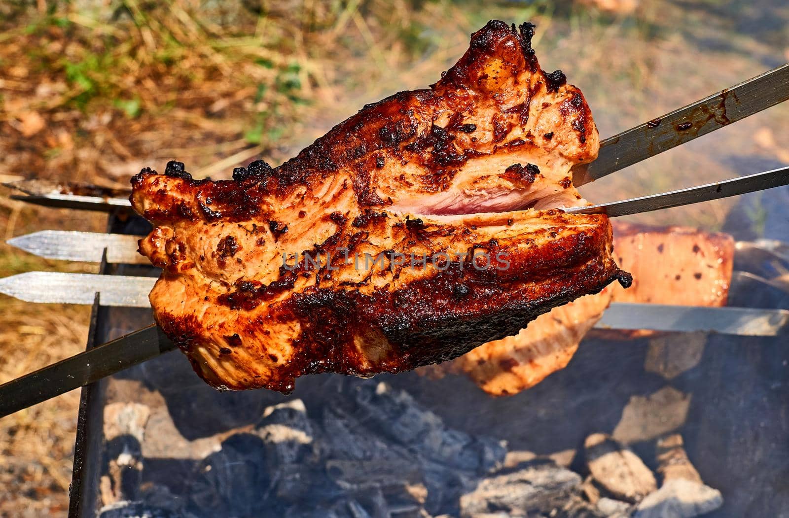 A meal or gathering at which meat, fish, or other food is cooked out of doors on a rack over an open fire or on a portable grill.Appetizing tasty fried pieces of meat cooked on the grill.