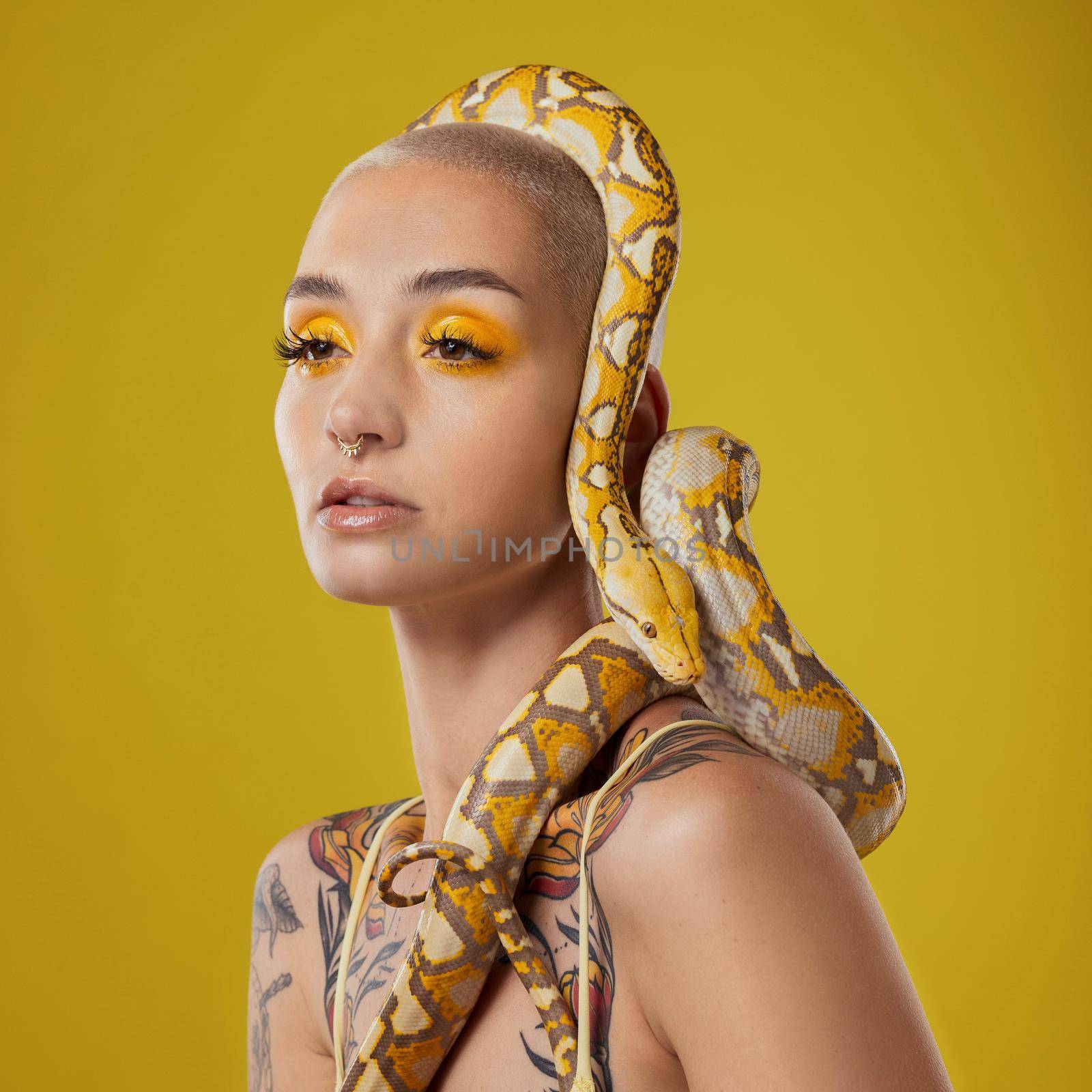 Shot of a young woman posing with a snake on her head against a yellow background.