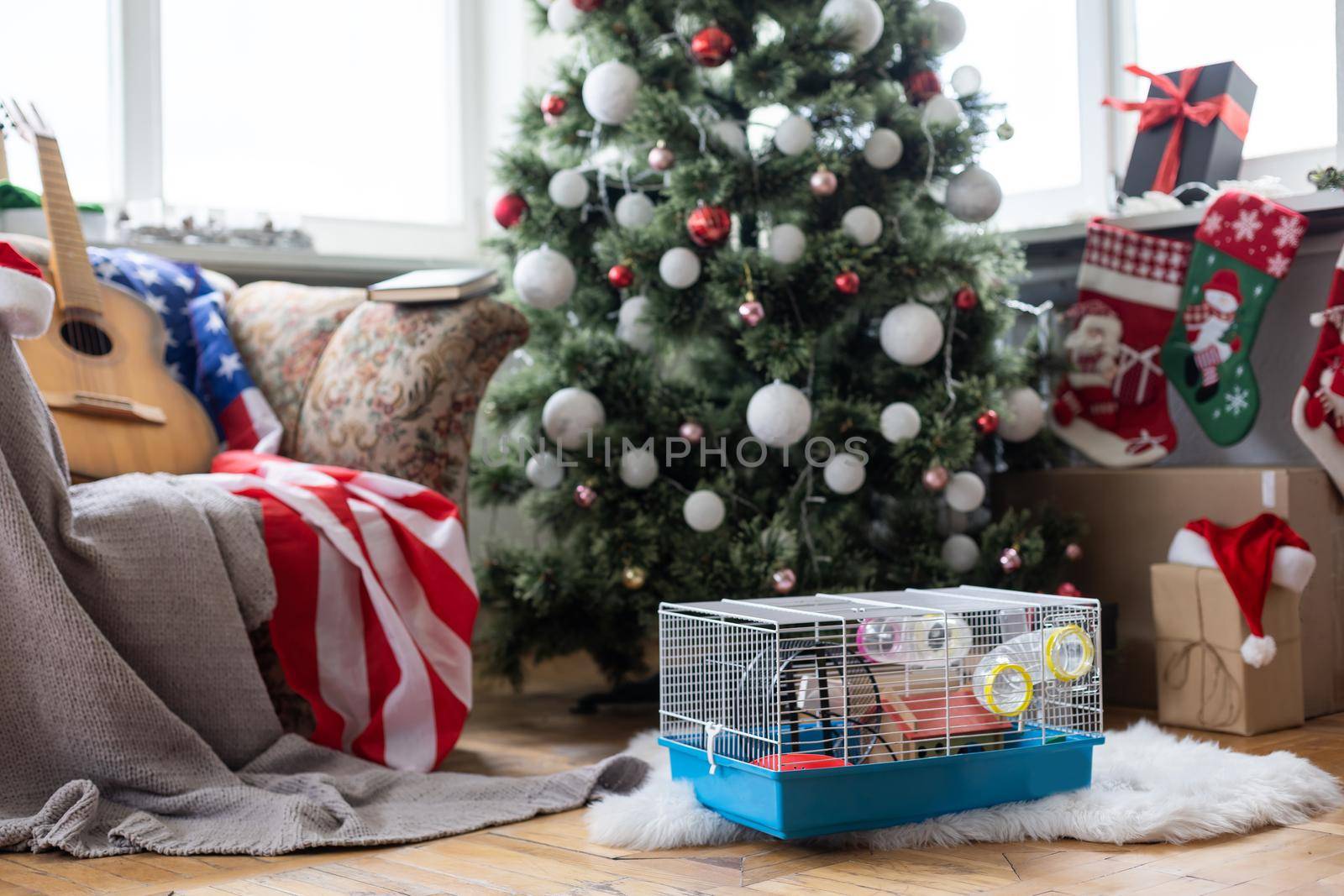 Hamster cage near the Christmas tree, USA. by Andelov13