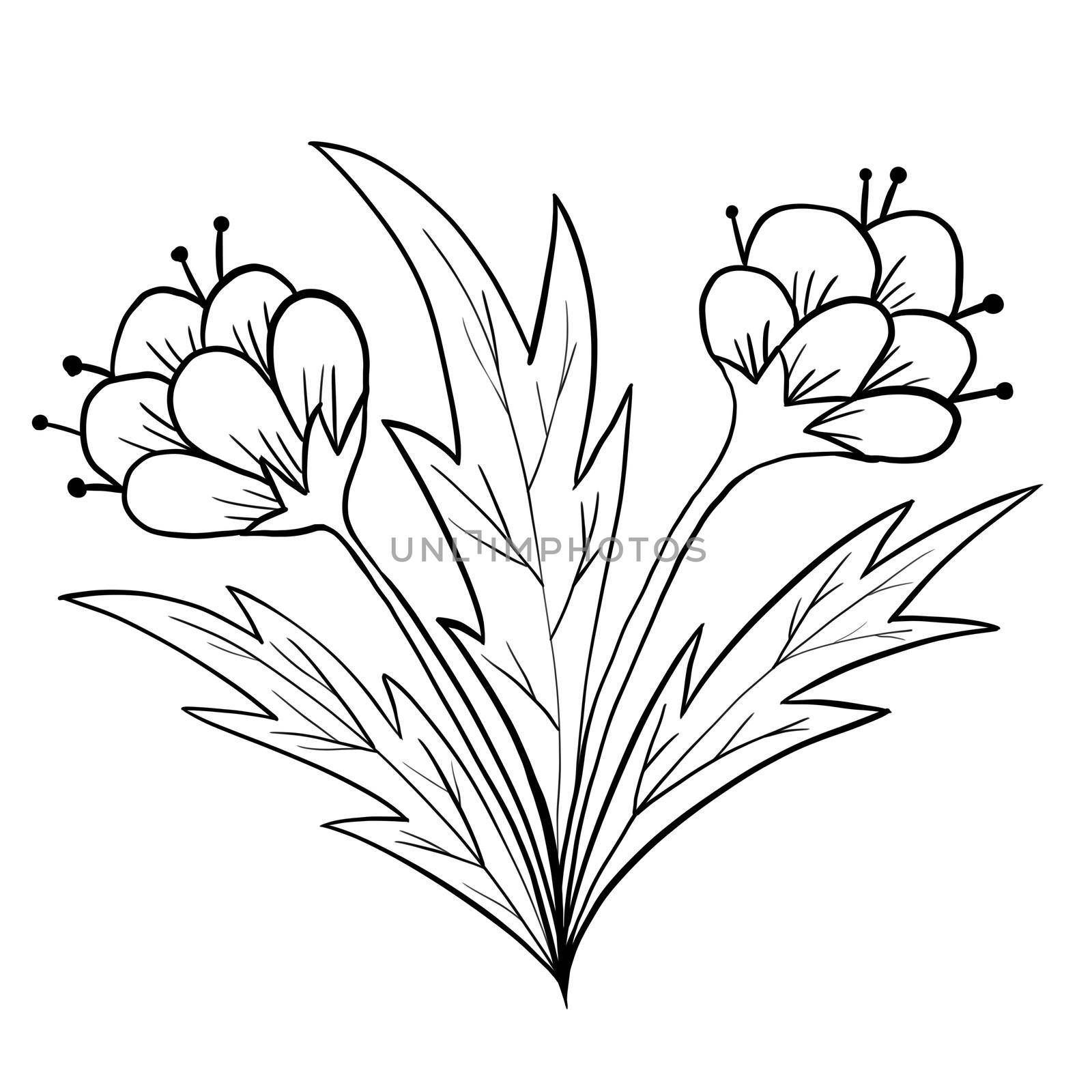 Hand drawn floral flower leaves illustration, black white elegant wedding ornament, Line art minimalism tatoo style design summer spring nature branch foliage blossom