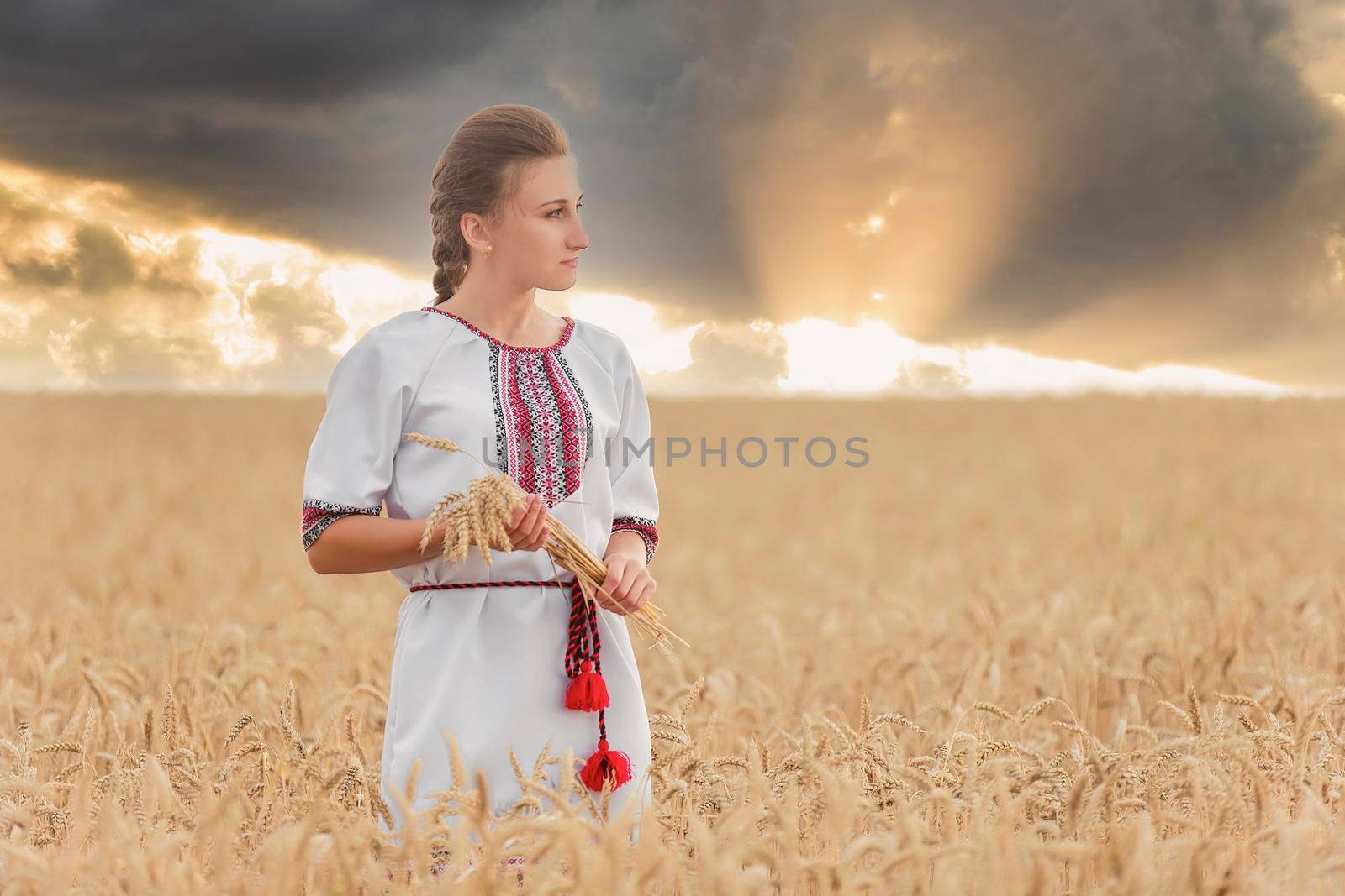 girl with wheat in her hands against the backdrop of the sunset sky by zokov