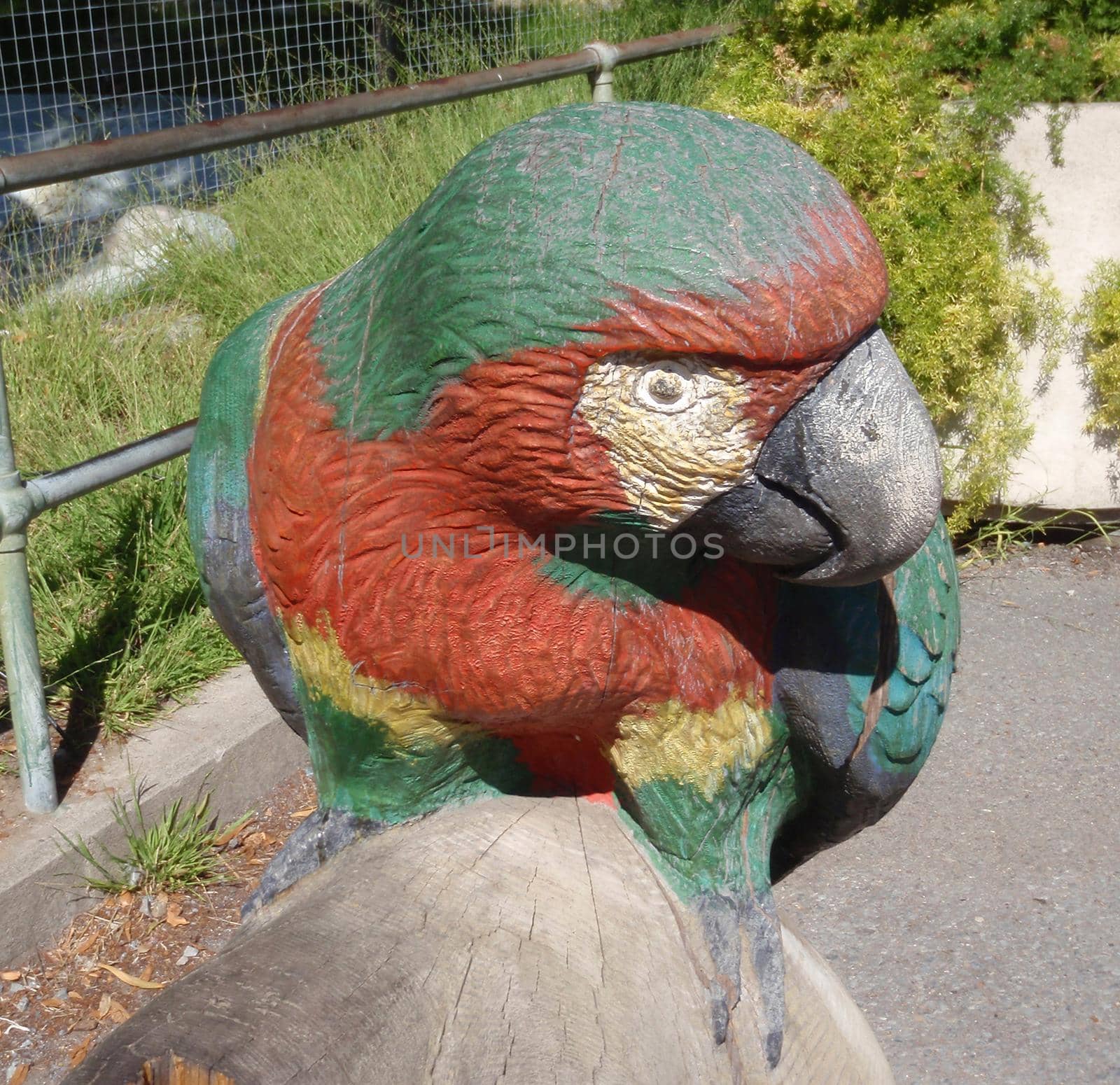 Parrot Statue at the Zoo in San Francisco