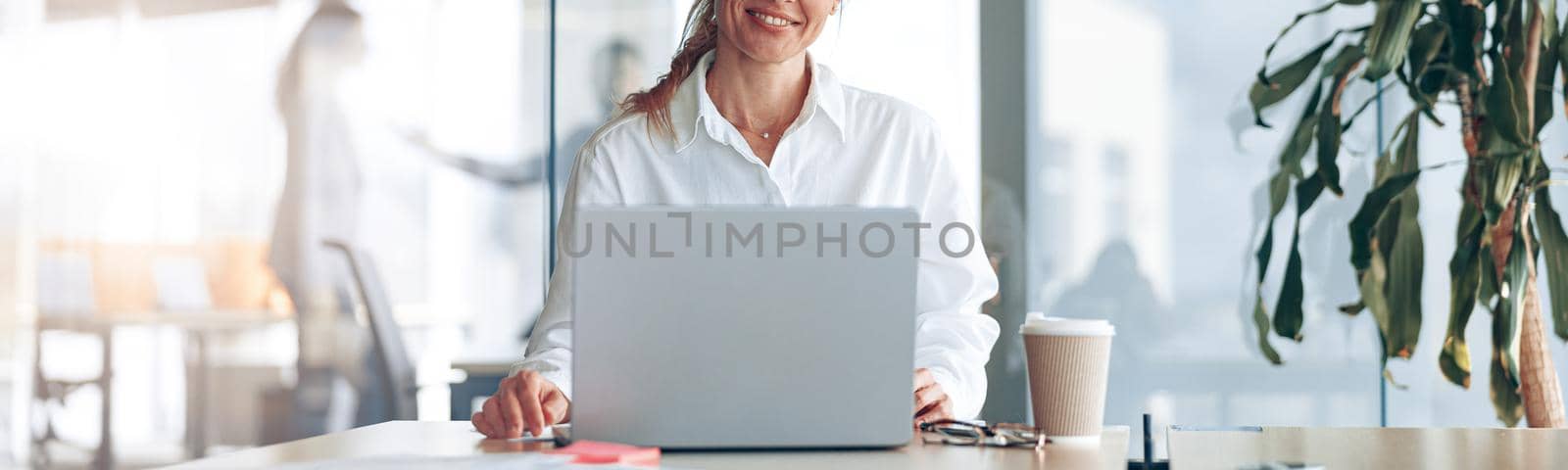Portrait of smiling lady boss working on laptop at workplace in modern office. Blurred background