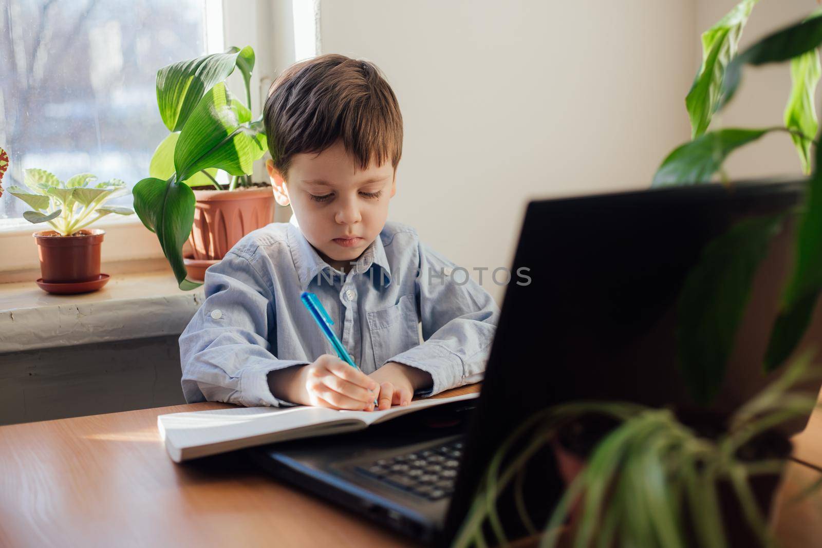 The boy is engaged in online education . Online training. Home schooling. A laptop. Child and technology. An article about the choice of education for a child. Article about home schooling online