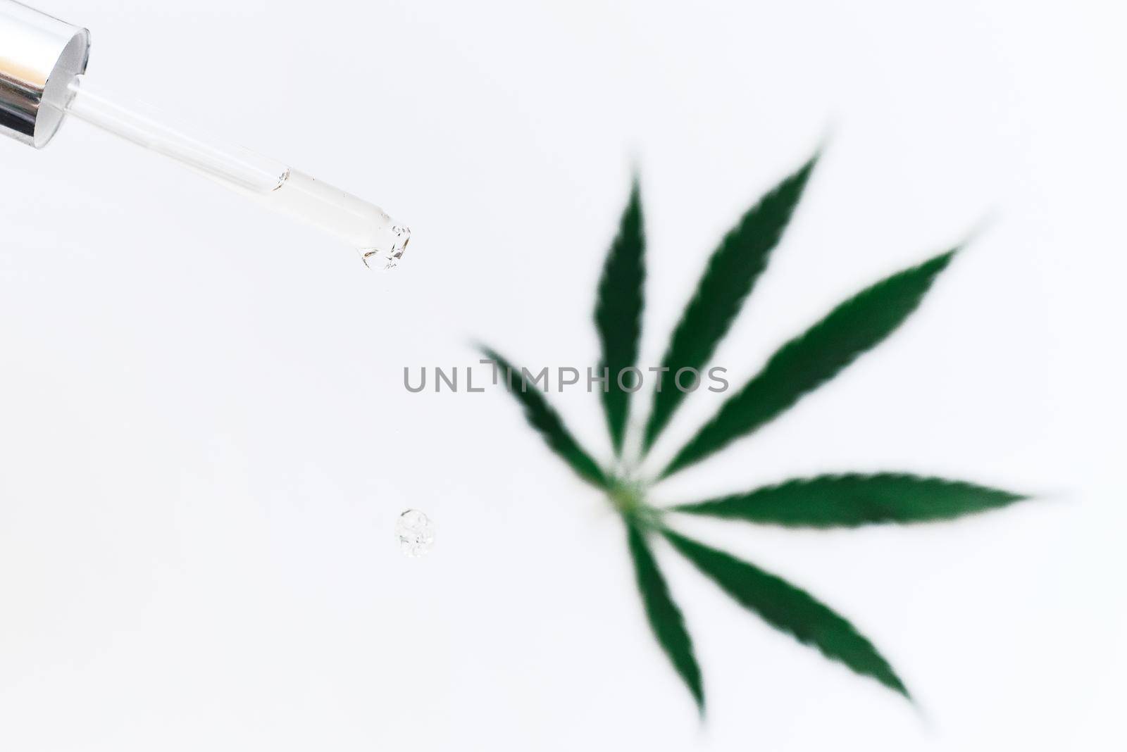 Pipette with a cosmetic product with hemp extract and cannabis leaf on a white background. A drop of cosmetic CBD oil falls from the pipette.