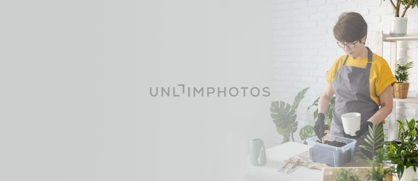 Middle aged woman gardener transplanting plant in ceramic pots on the white wooden table. Concept of home garden. Spring time. Stylish interior with a lot of plants. Taking care home plants.